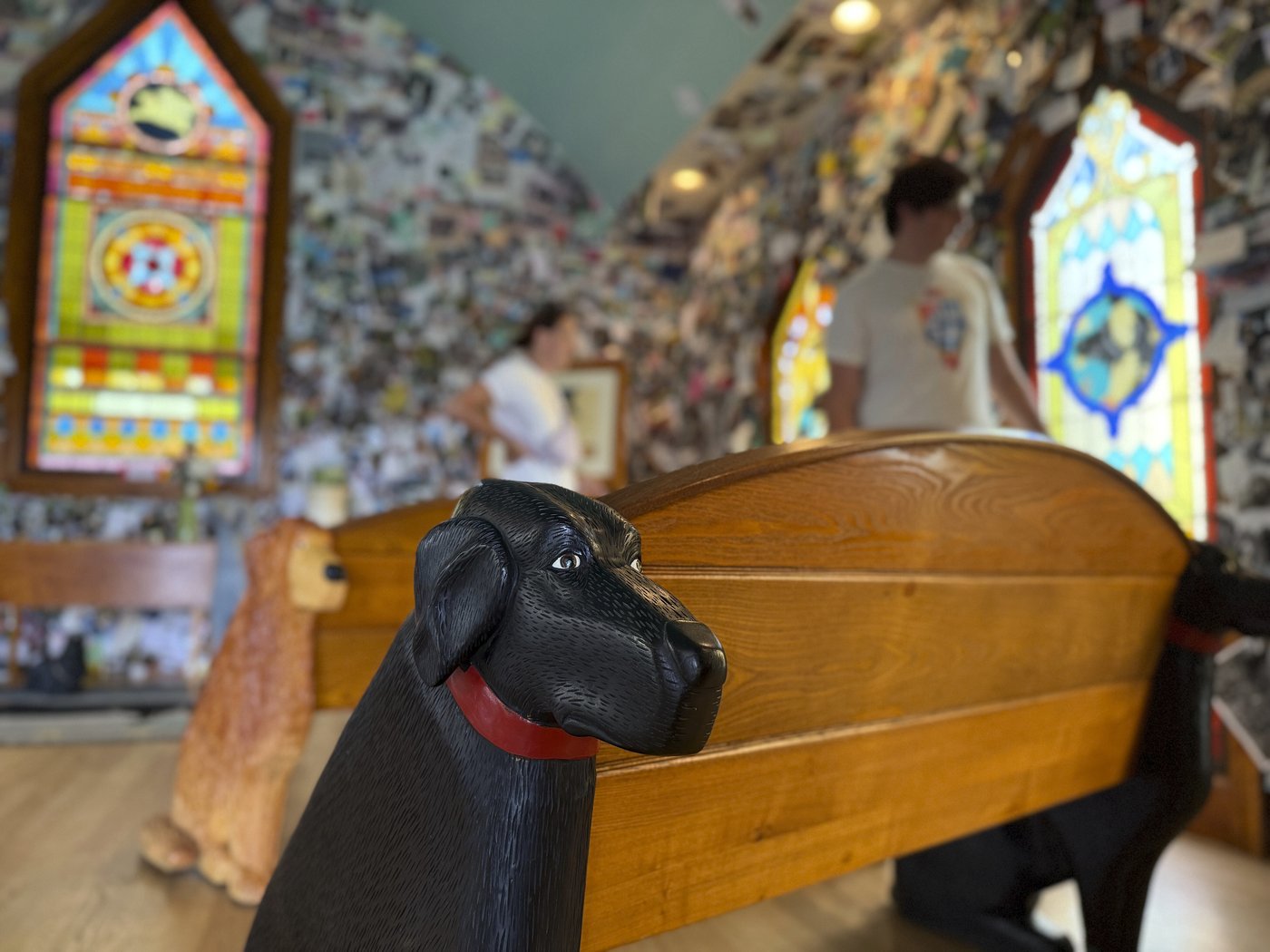 A massive mountain park in Vermont celebrates the bond between dogs and their humans | iNFOnews.ca A massive mountain park in Vermont celebrates the bond between dogs and their humans | iNFOnews.ca