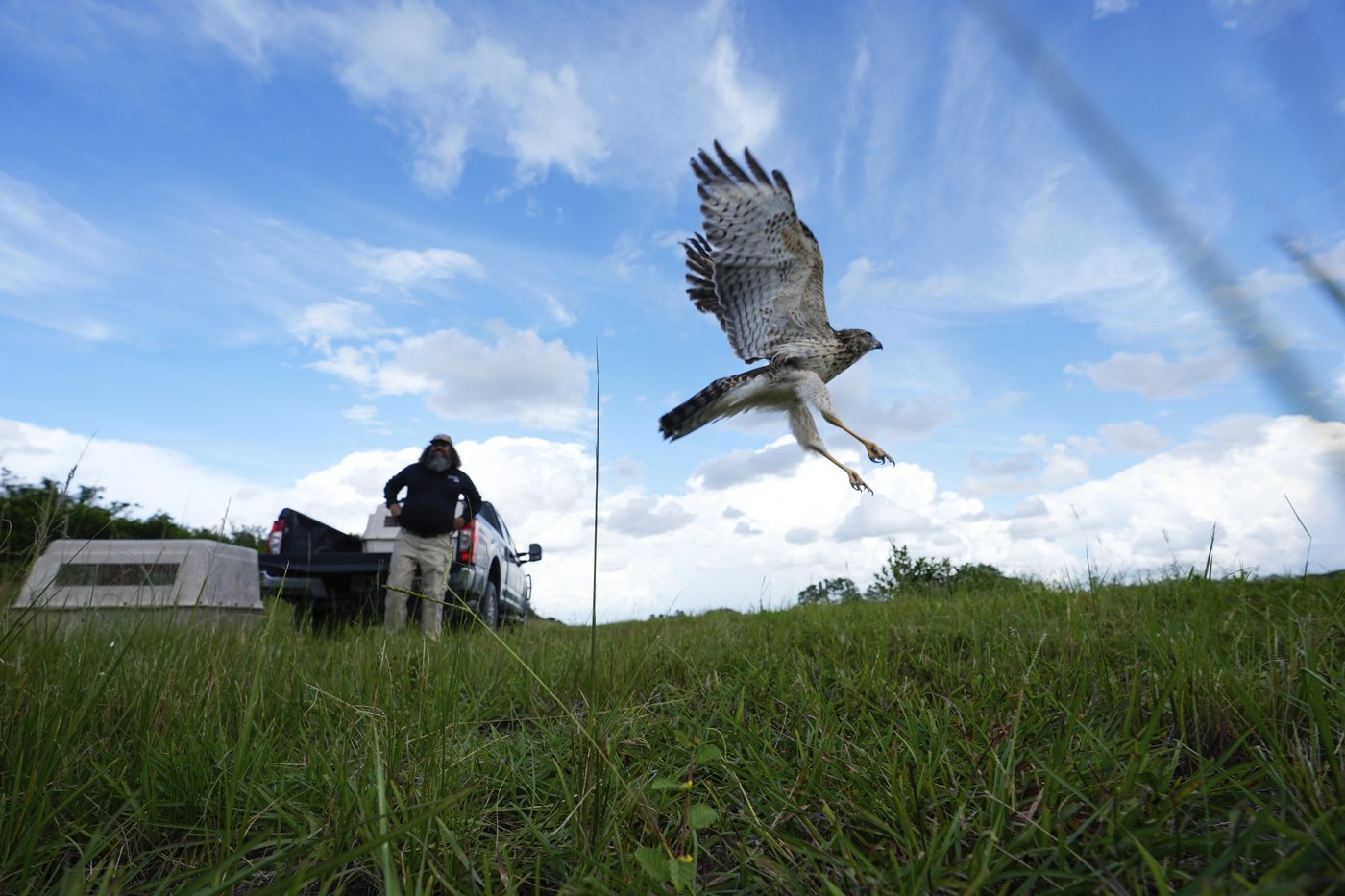 In Florida, the Miccosukee fight to protect the Everglades in the face of climate change | iNFOnews.ca