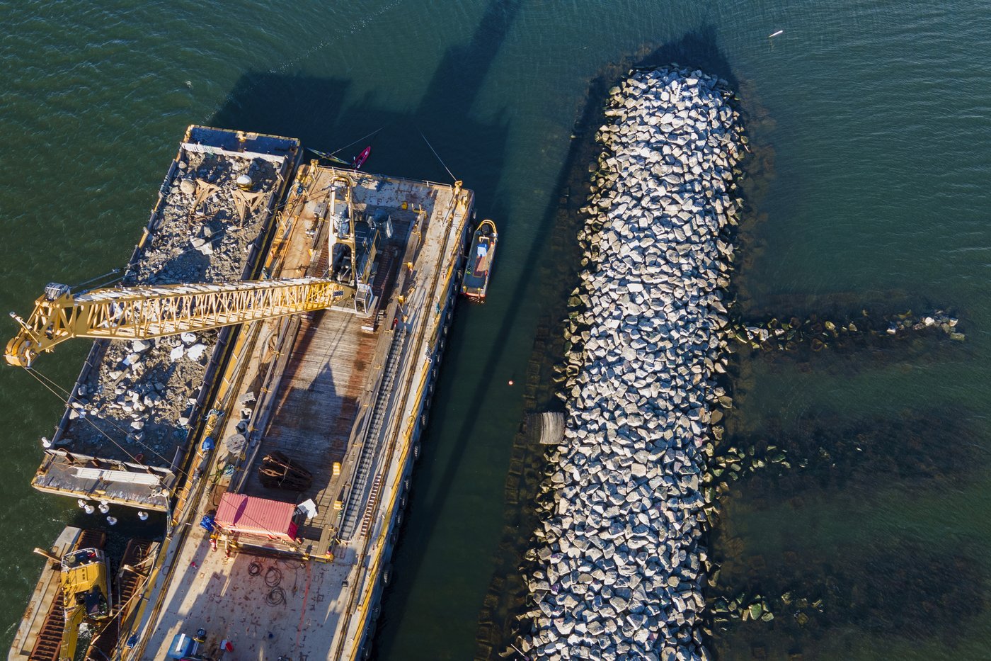 These artificial reefs off a New York City beach help sea creatures. They might also save lives | iNFOnews.ca