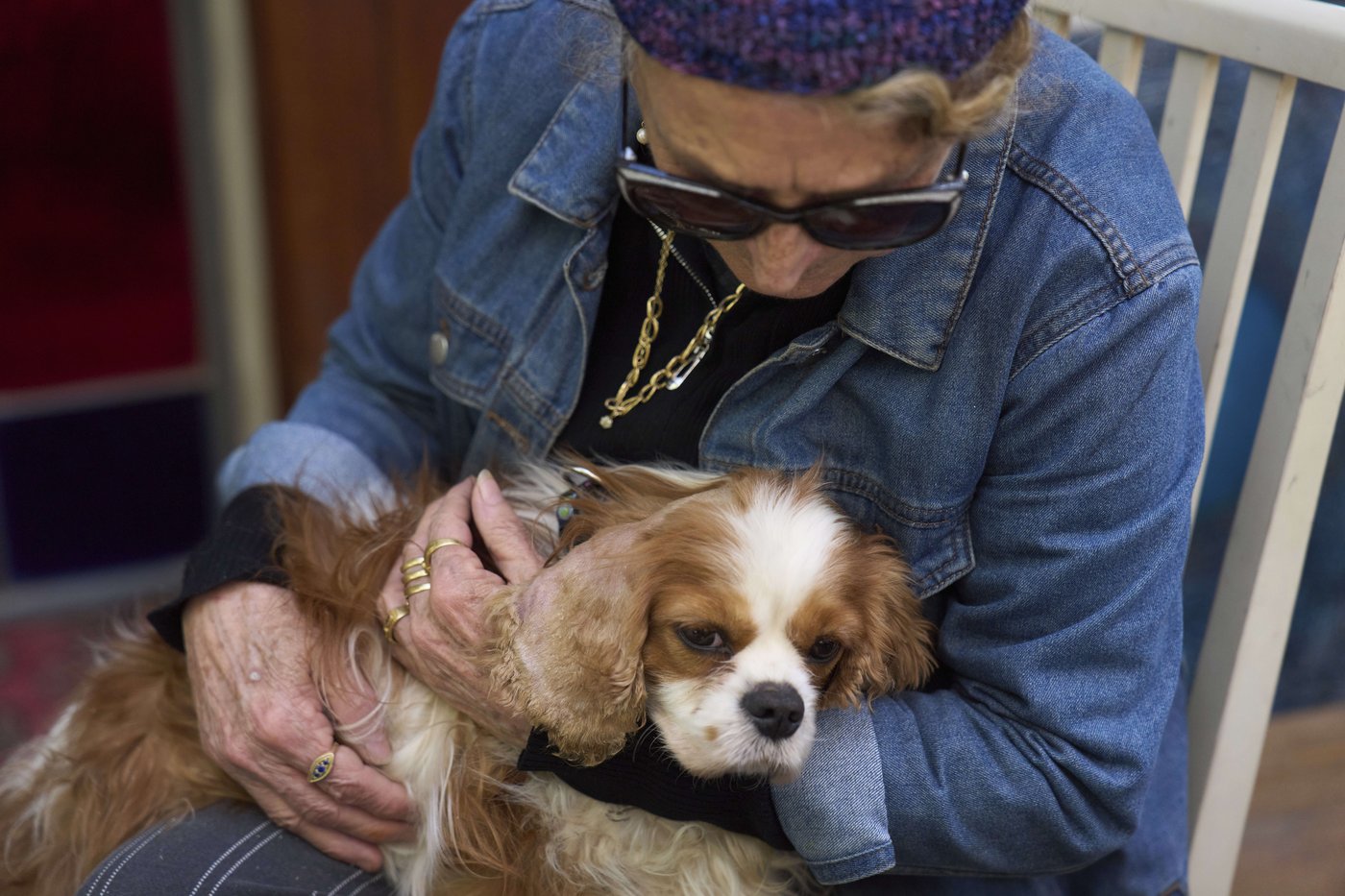 Dog reunites with Israeli family after disappearing for 18 months in Gaza | iNFOnews.ca