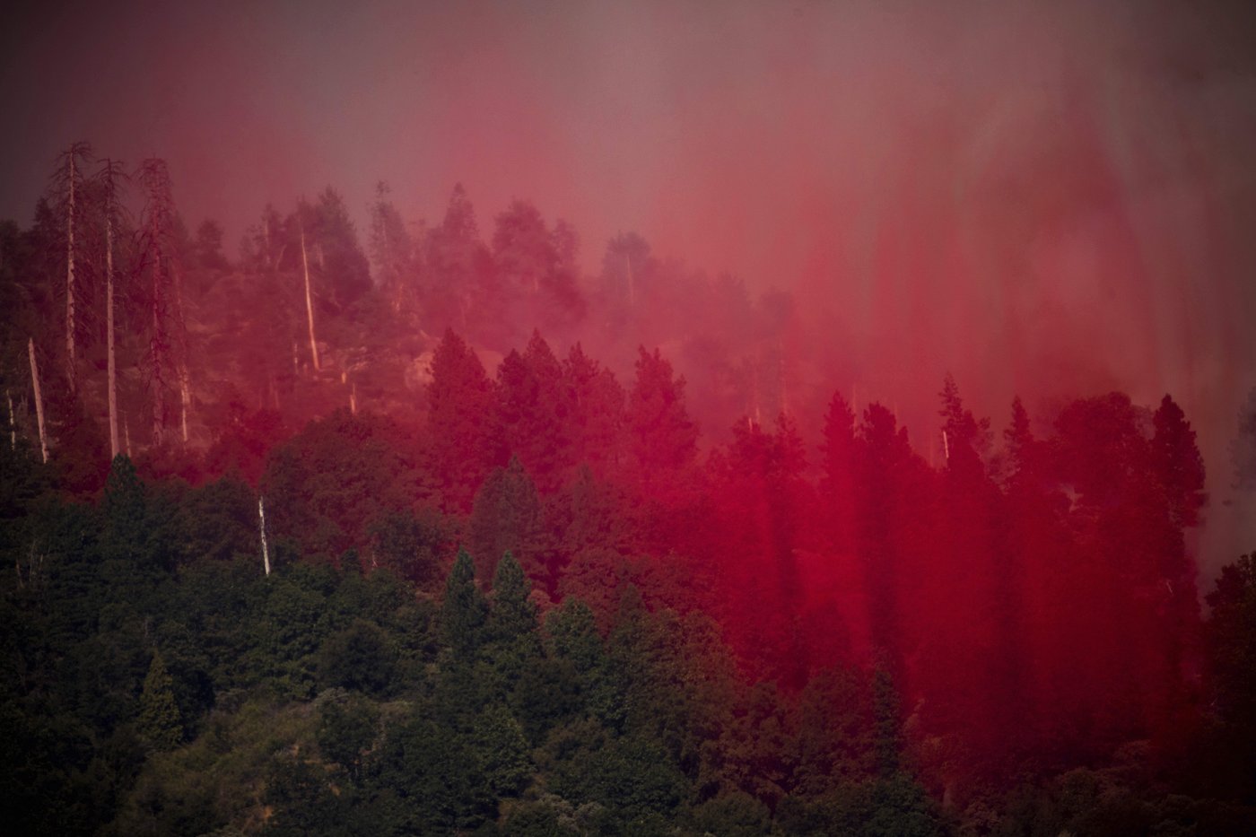 Firefighters try to corral California forest blaze as lightning strikes bring risk of new ignitions | iNFOnews.ca Firefighters try to corral California forest blaze as lightning strikes bring risk of new ignitions | iNFOnews.ca