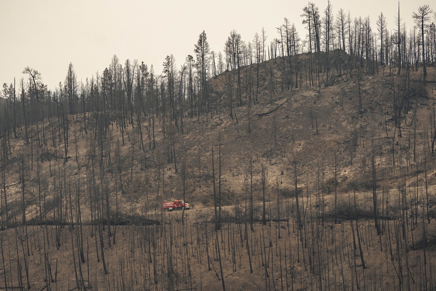 Charred road to recovery in B.C.'s Okanagan as province extends state of emergency | iNFOnews.ca Charred road to recovery in B.C.'s Okanagan as province extends state of emergency | iNFOnews.ca
