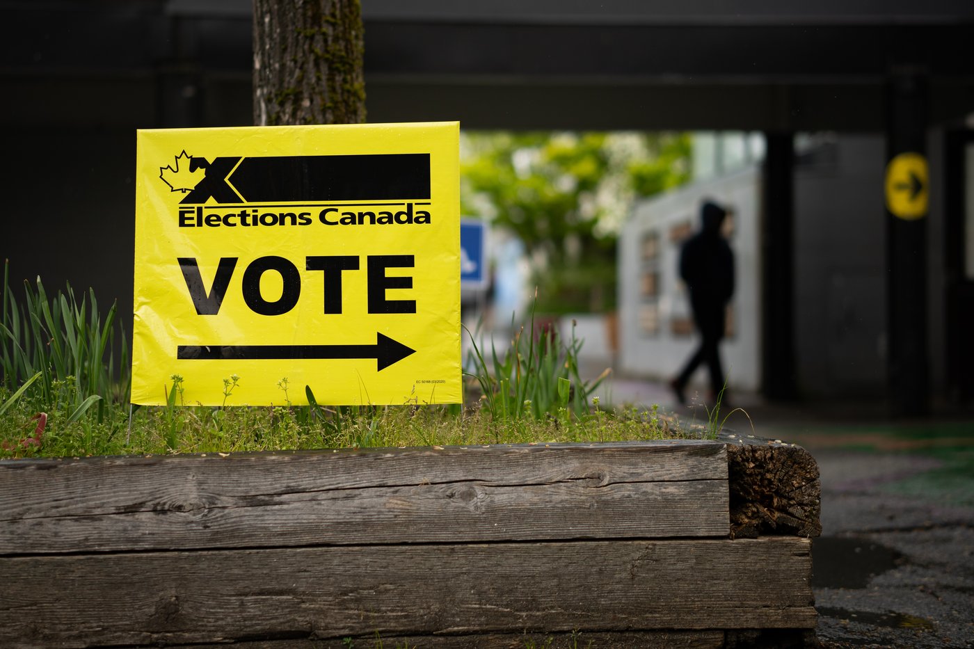 Over 800 special ballots 'mistakenly' kept in B.C. riding, Elections Canada says | iNFOnews.ca Over 800 special ballots 'mistakenly' kept in B.C. riding, Elections Canada says | iNFOnews.ca