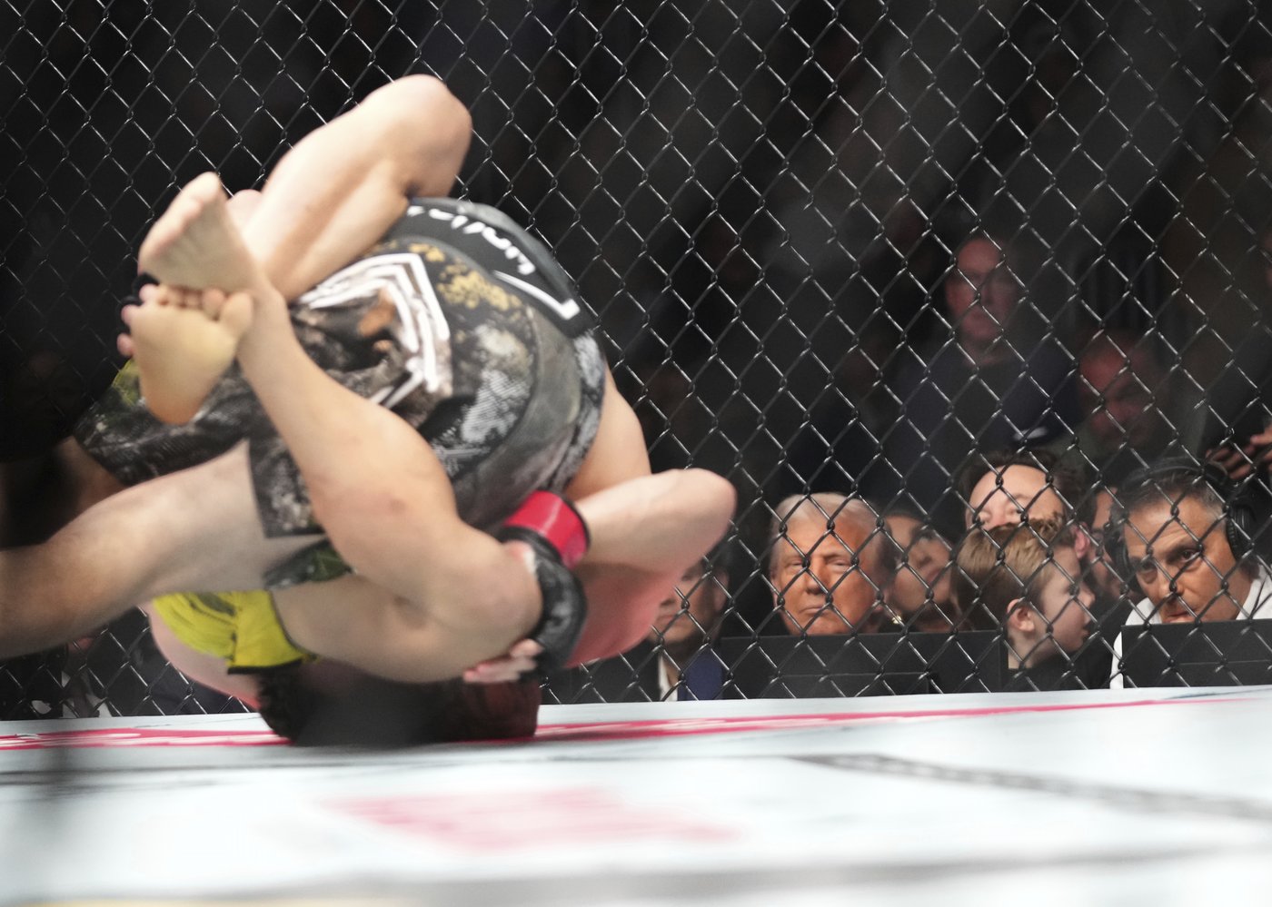 Trump sits cageside at Miami UFC event in his latest appearance at a sports event | iNFOnews.ca