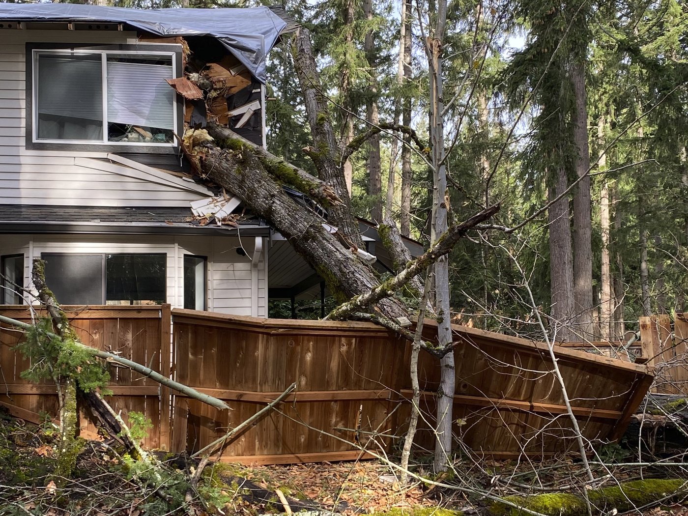 Storm inundates Northern California with rain, heavy snow. Thousands remain in the dark in Seattle | iNFOnews.ca Storm inundates Northern California with rain, heavy snow. Thousands remain in the dark in Seattle | iNFOnews.ca