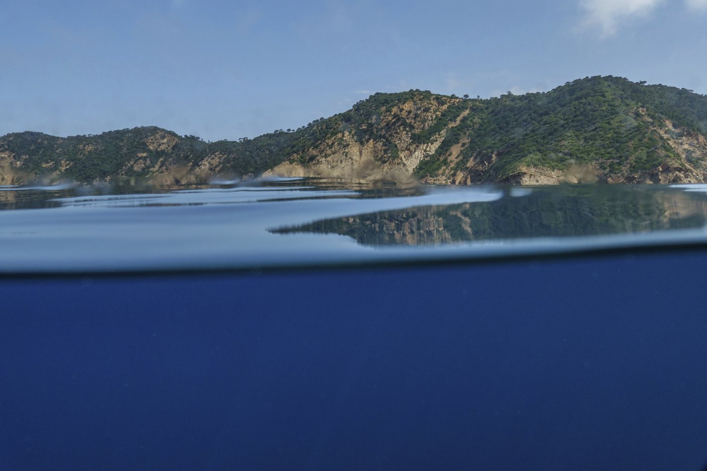 The UN Ocean Conference tries to turn promises into protection | iNFOnews.ca The UN Ocean Conference tries to turn promises into protection | iNFOnews.ca