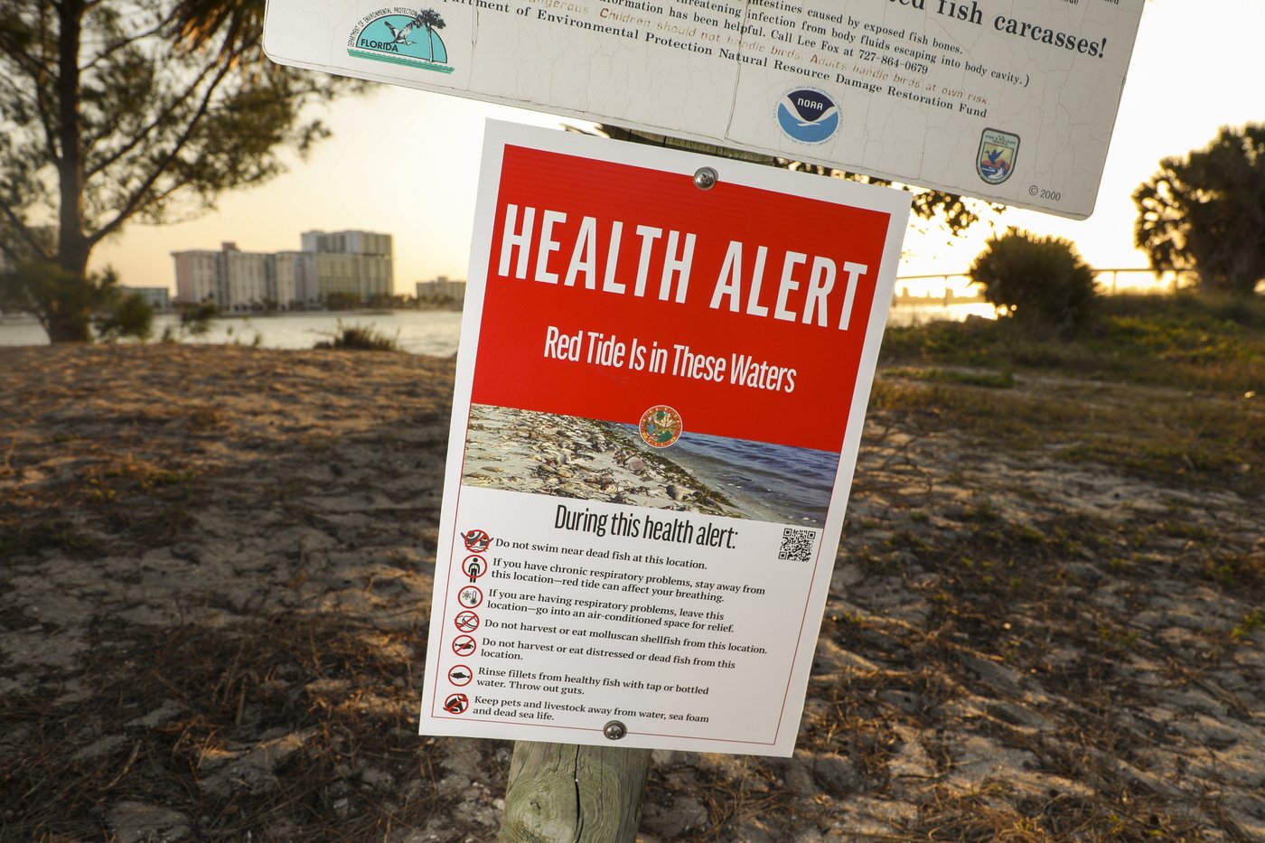 What to know about red tide after Florida's back-to-back hurricanes | iNFOnews.ca