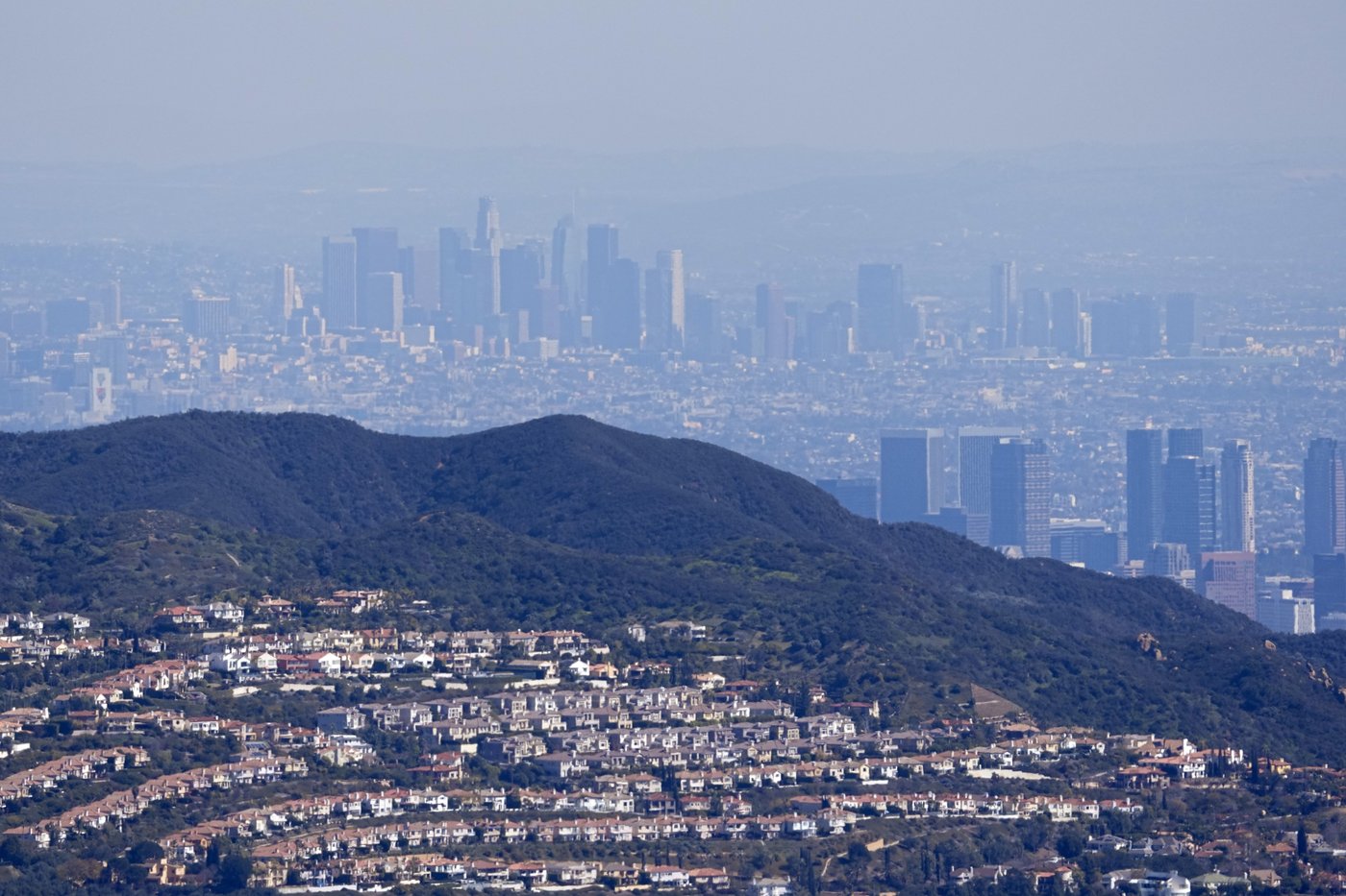 Los Angeles area sees more dengue fever in people bitten by local mosquitoes | iNFOnews.ca