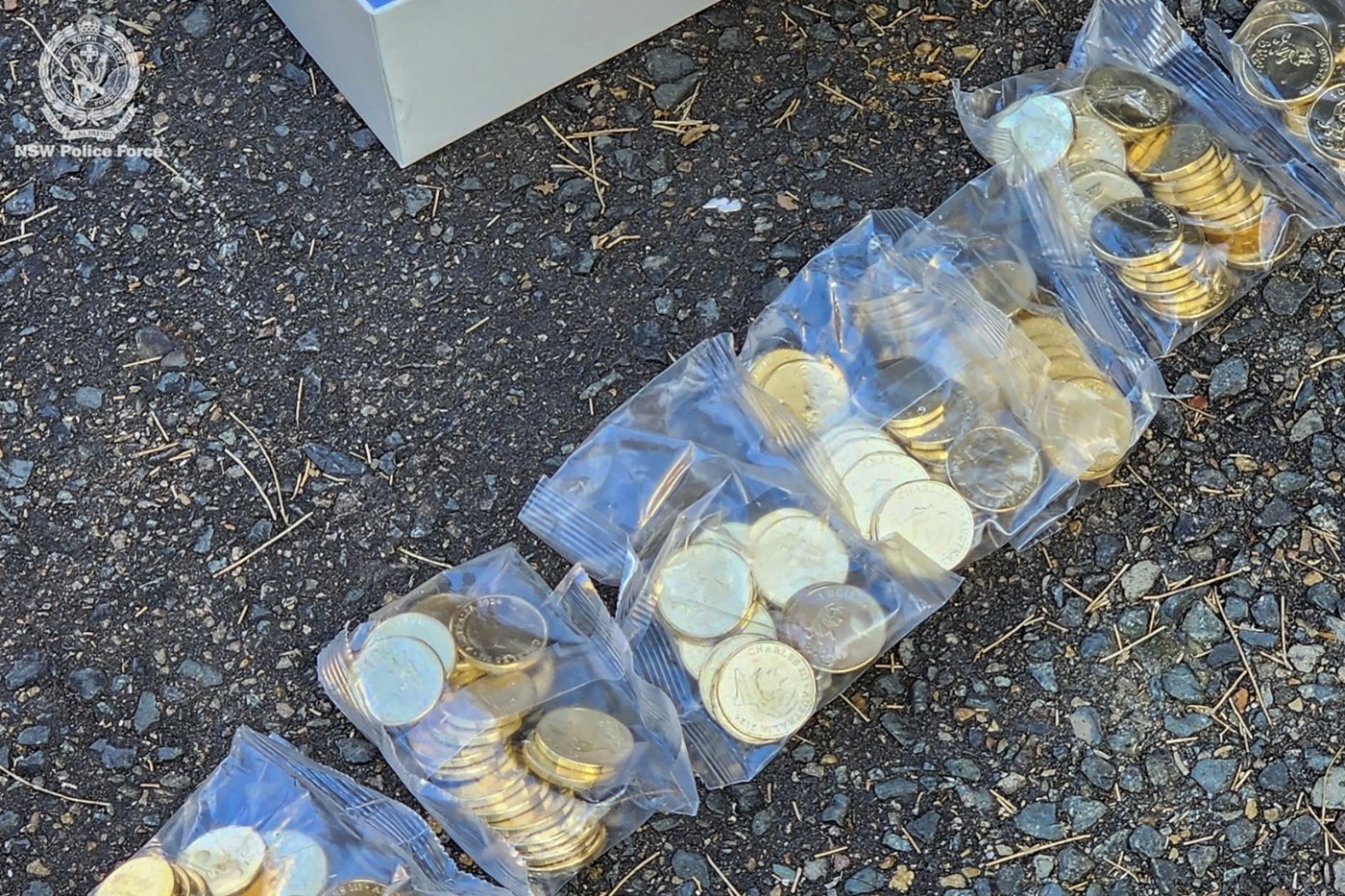 Australian police recover 40,000 stolen coins based on the children's animated series 'Bluey' | iNFOnews.ca