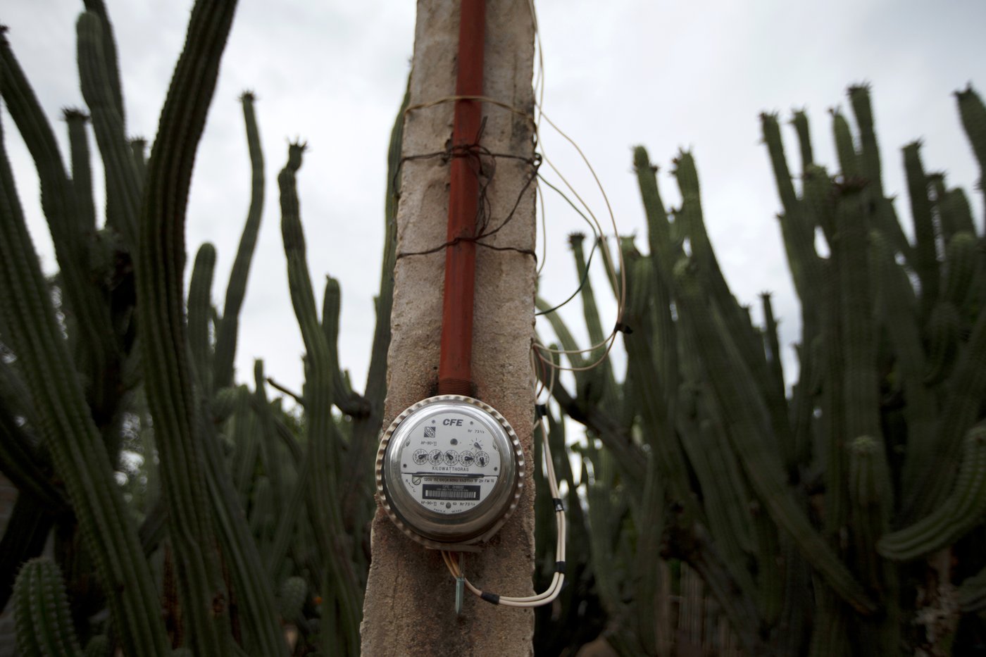 Mexico to eliminate 7 independent regulatory, oversight agencies. What does it mean for the future? | iNFOnews.ca