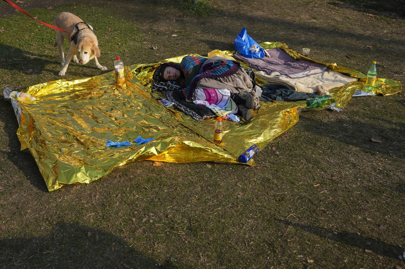 Serbia's striking students create 'festival atmosphere' to pass the time during protests | iNFOnews.ca