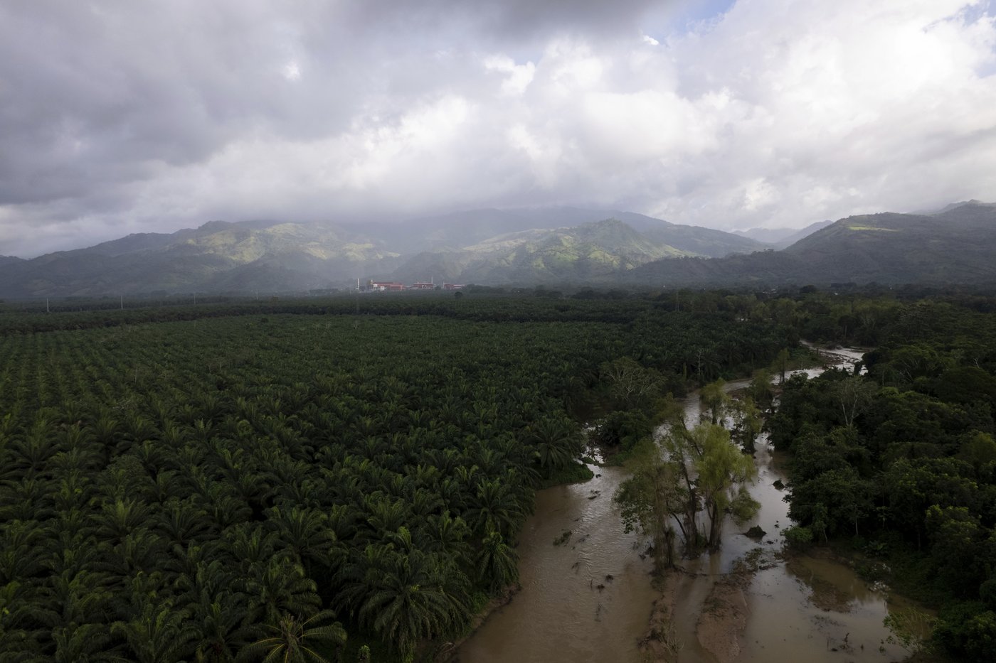 He fought to save jungles in Honduras. Now his killing haunts environmental defenders | iNFOnews.ca He fought to save jungles in Honduras. Now his killing haunts environmental defenders | iNFOnews.ca