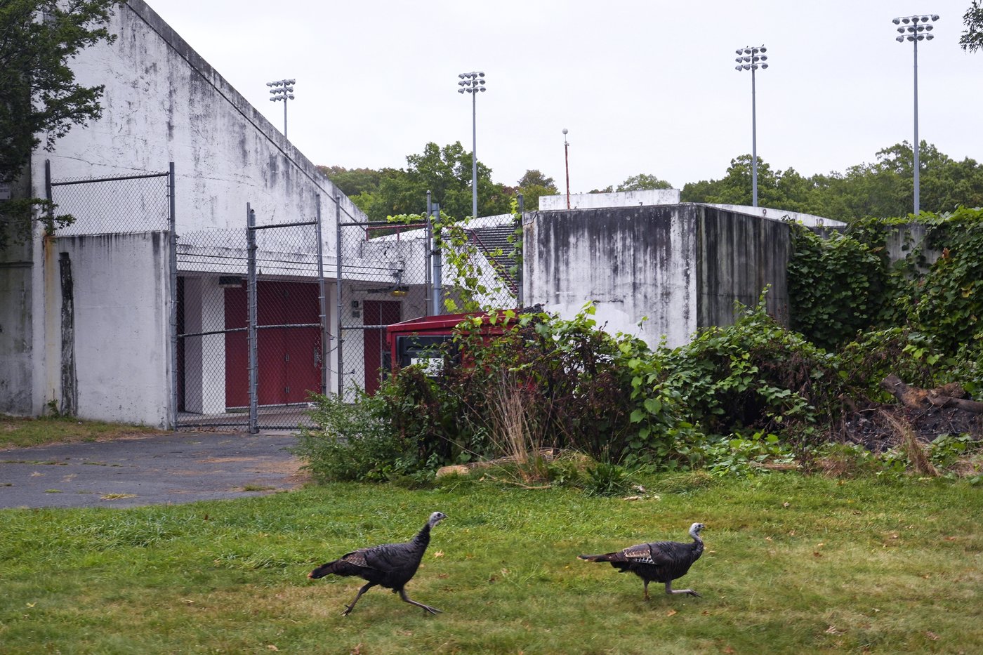 Opposition growing in Boston over plan to renovate historic stadium for women's professional soccer | iNFOnews.ca Opposition growing in Boston over plan to renovate historic stadium for women's professional soccer | iNFOnews.ca