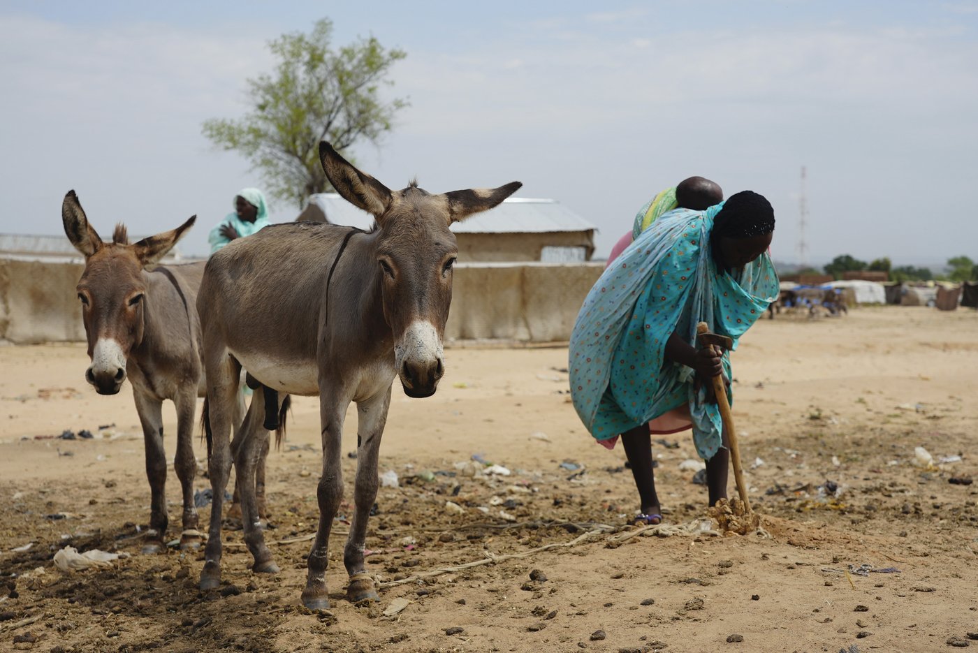 UN investigates sexual exploitation allegations against aid workers in Chad following AP story | iNFOnews.ca UN investigates sexual exploitation allegations against aid workers in Chad following AP story | iNFOnews.ca