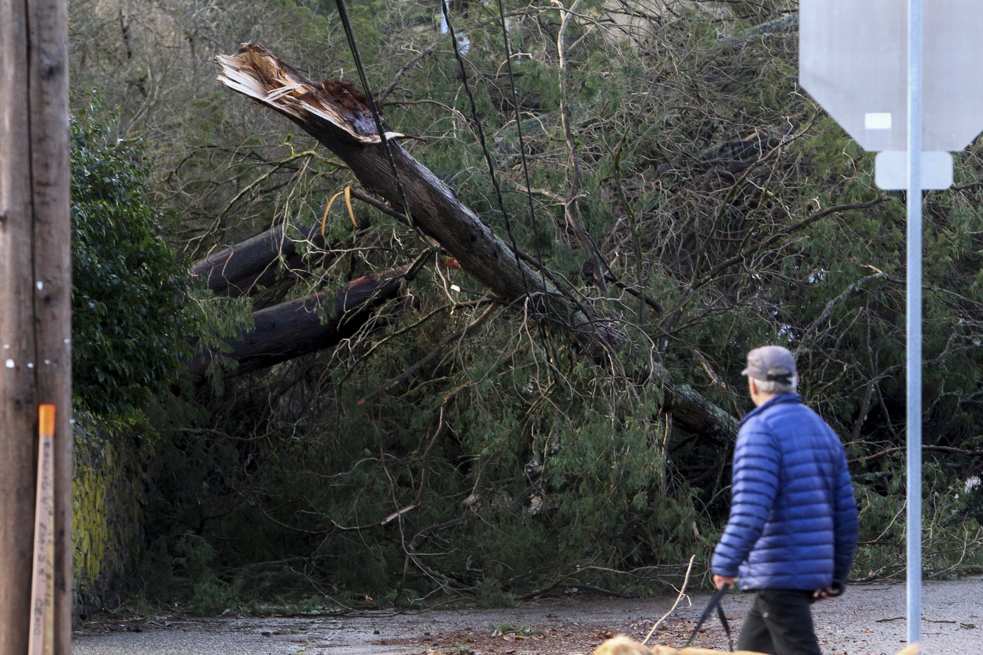 Storm inundates Northern California with rain, heavy snow. Thousands remain in the dark in Seattle | iNFOnews.ca Storm inundates Northern California with rain, heavy snow. Thousands remain in the dark in Seattle | iNFOnews.ca