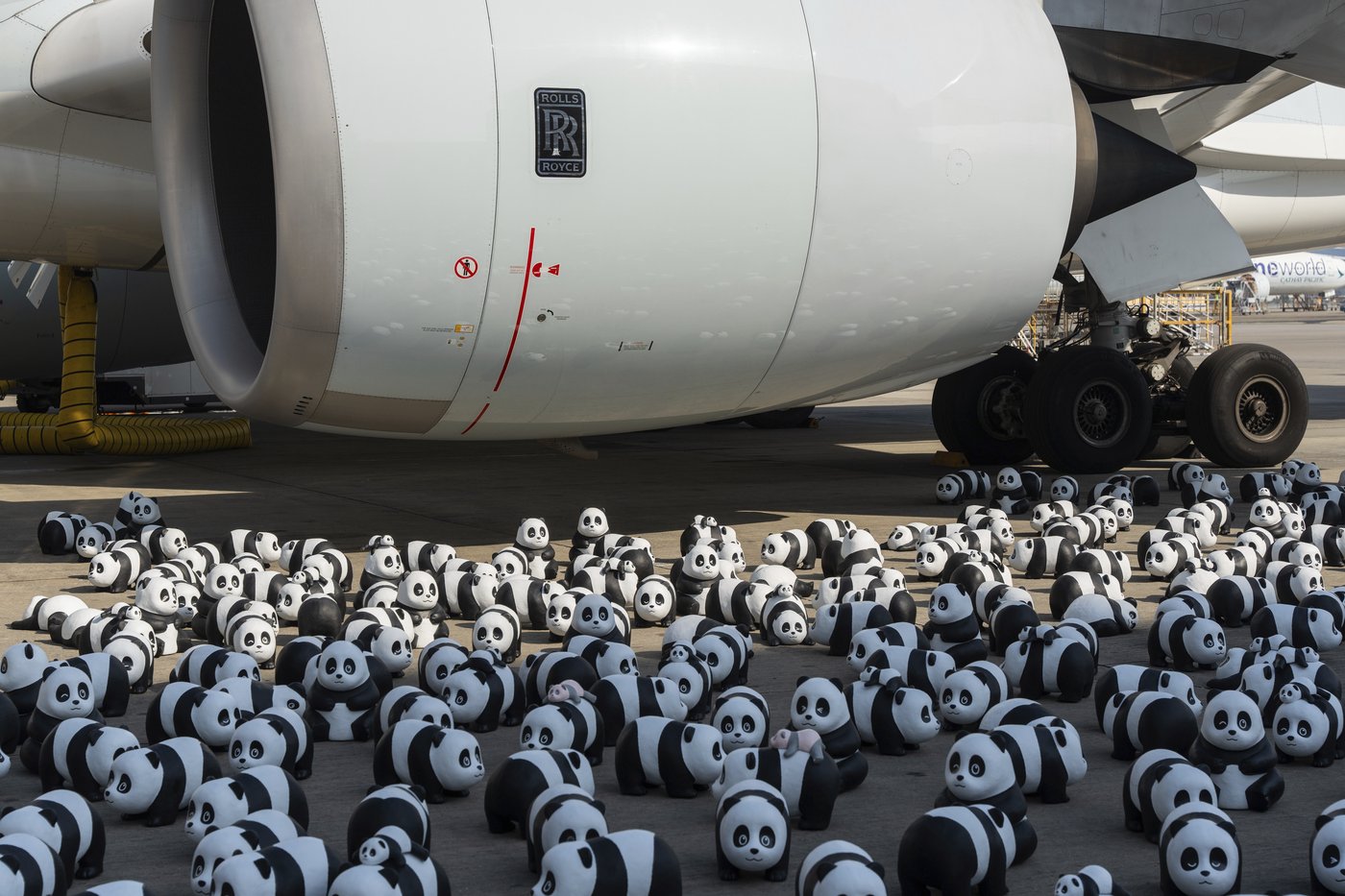 Hong Kong launches panda sculpture tour as the city hopes the bear craze boosts tourism | iNFOnews.ca