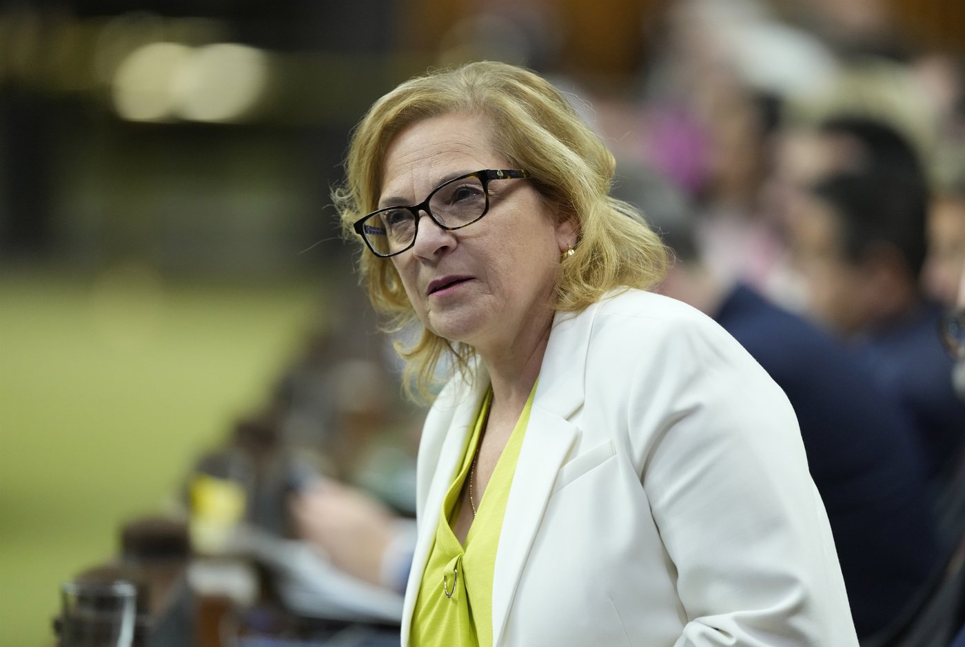 Trigger for new immigration powers 'intentionally not defined' in border bill: Diab | iNFOnews.ca