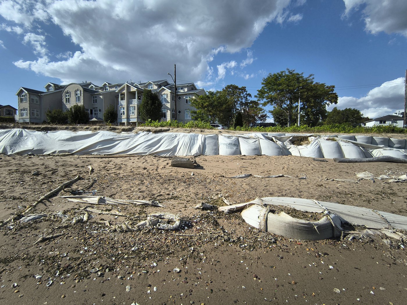 These artificial reefs off a New York City beach help sea creatures. They might also save lives | iNFOnews.ca