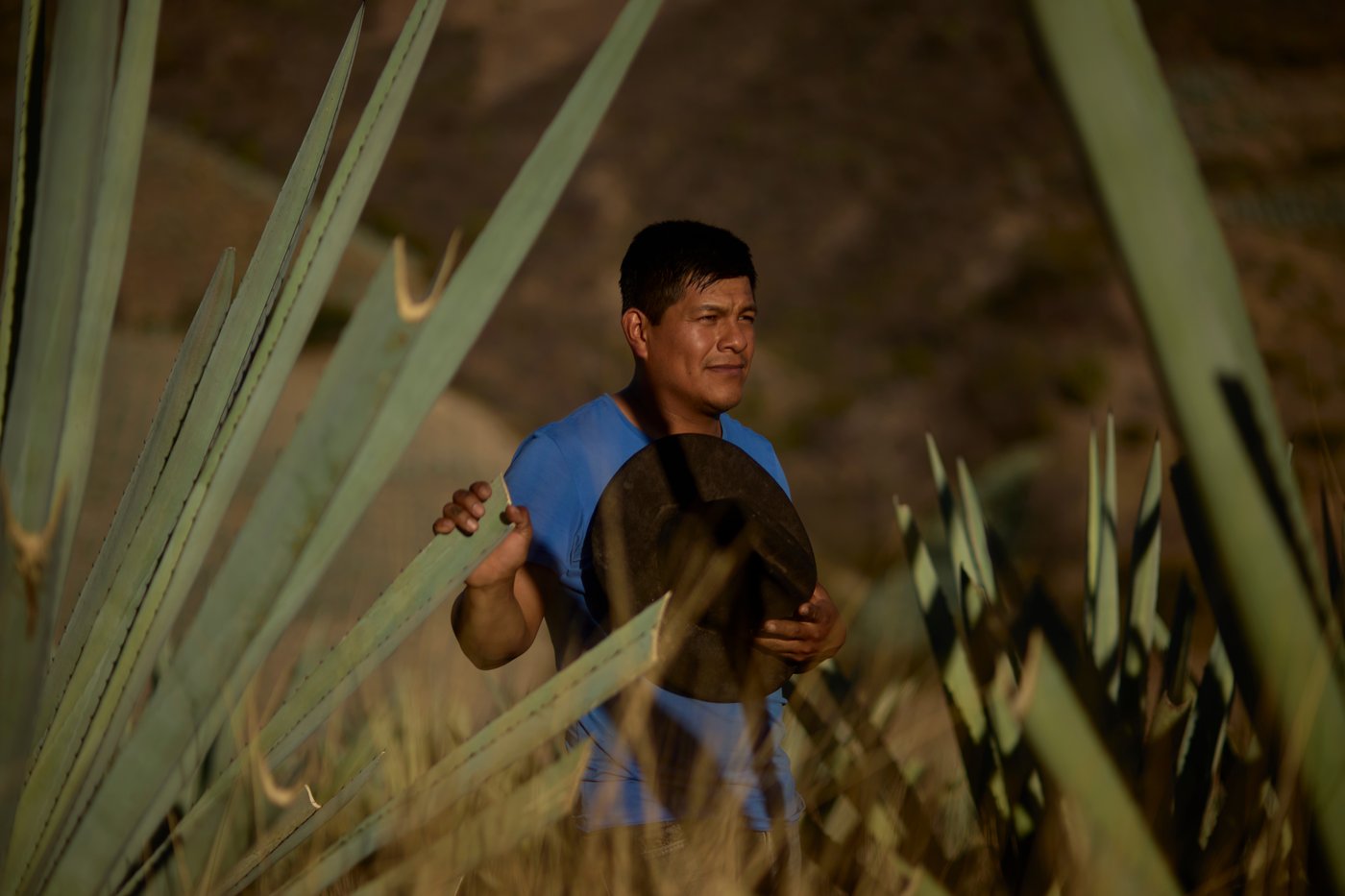 Mezcal producers in Oaxaca pose for photos while reflecting on economic impacts of the drink | iNwine