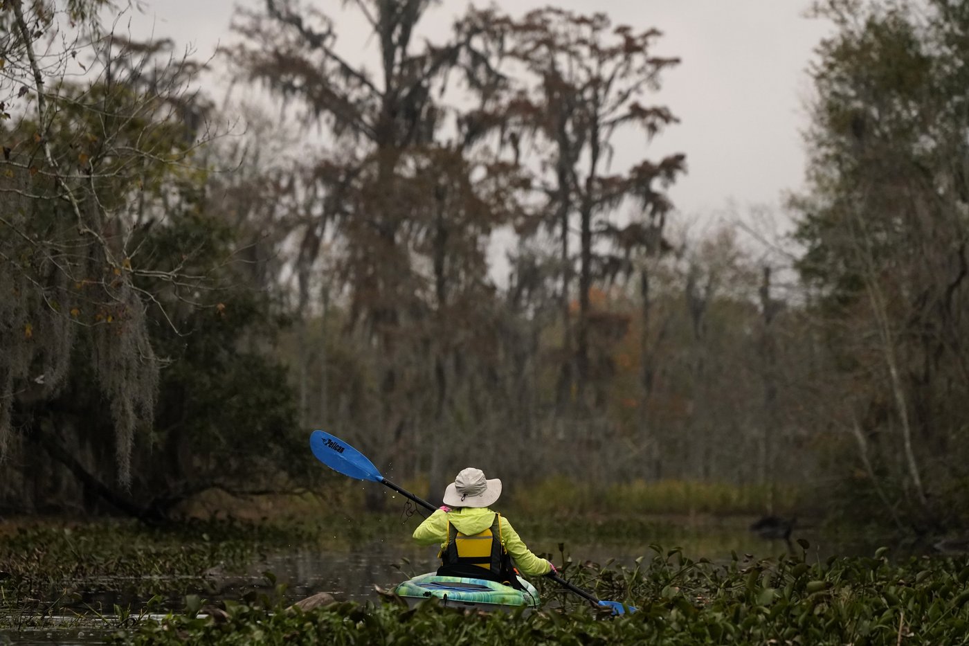 To save a dying swamp, Louisiana aims to restore the Mississippi River's natural flow | iNFOnews.ca To save a dying swamp, Louisiana aims to restore the Mississippi River's natural flow | iNFOnews.ca