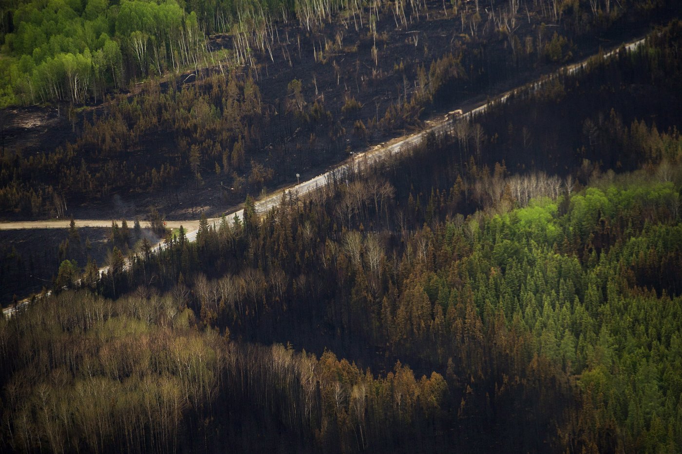 Canada primed for more severe wildfire days, driven by dry forest fuel: study | iNFOnews.ca