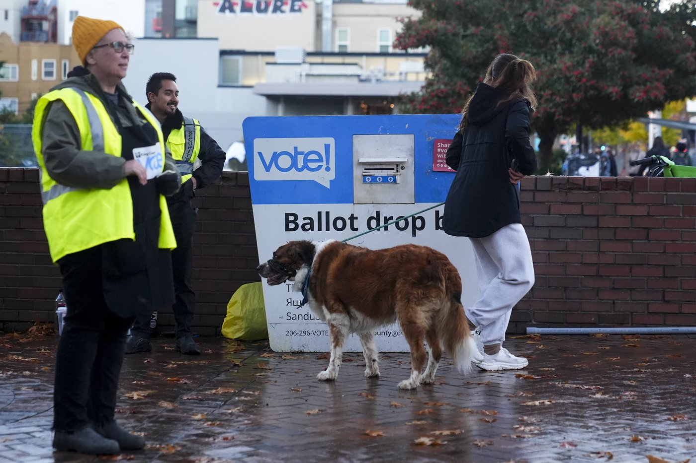 Washington voters uphold landmark climate law against challenge from conservatives | iNFOnews.ca