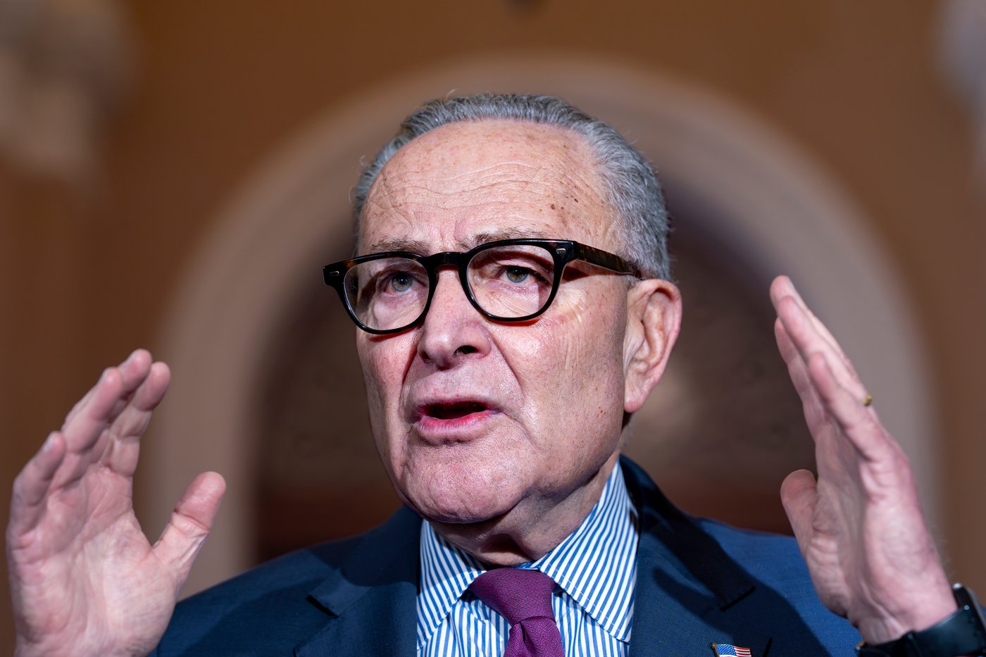 GOP turns Schumer print quotes into AI-generated video of him saying shutdown good for Democrats | iNFOnews.ca