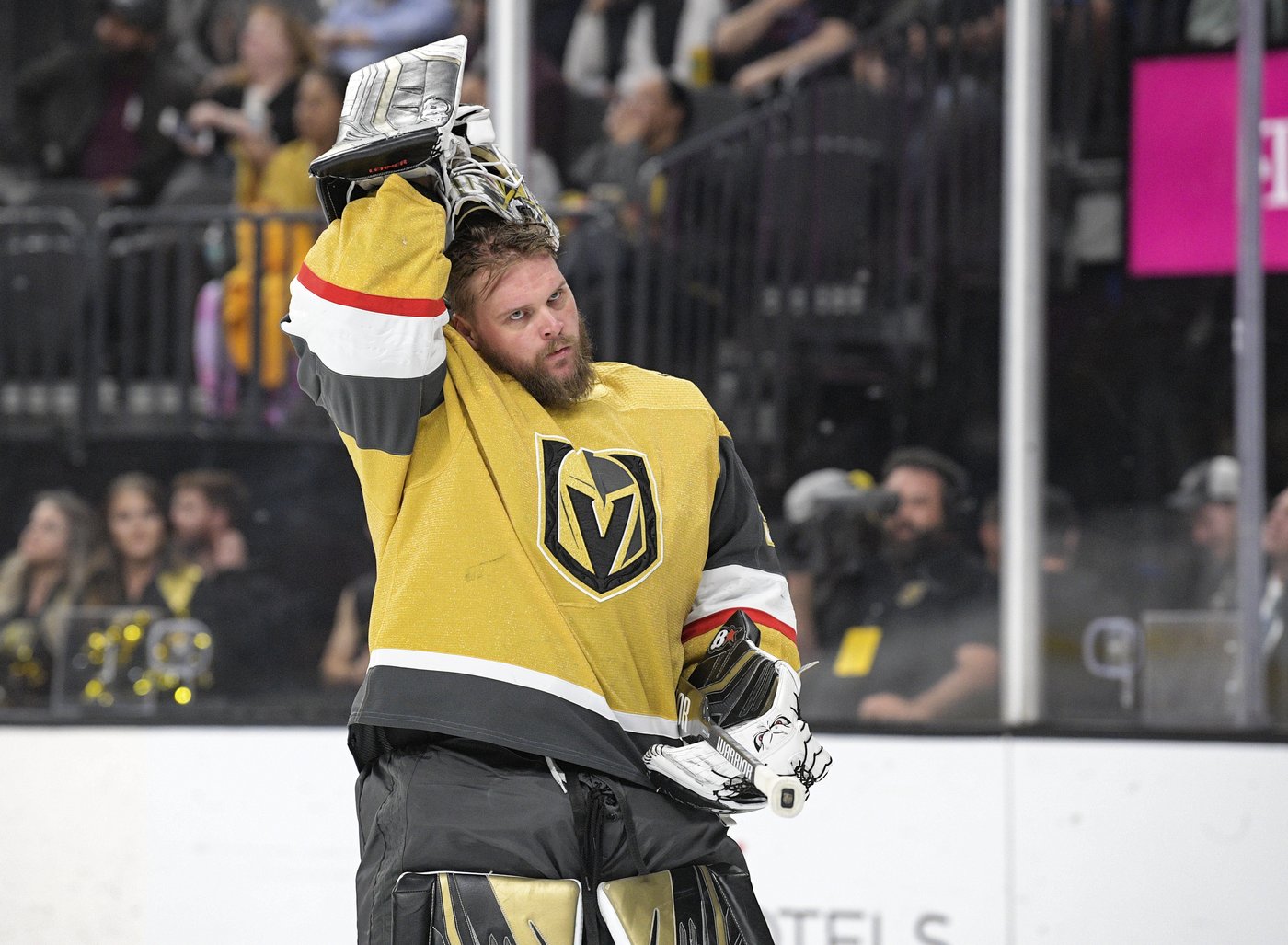 Goalie Robin Lehner apparently hopeful of resuming NHL career | iNFOnews.ca