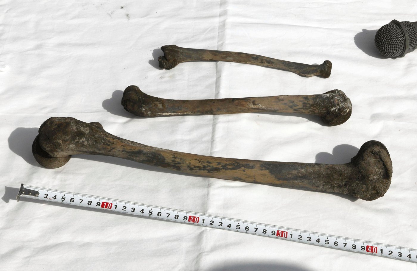 Bones found at Japanese site where Korean forced laborers died in WWII are human remains, police say | iNFOnews.ca Bones found at Japanese site where Korean forced laborers died in WWII are human remains, police say | iNFOnews.ca