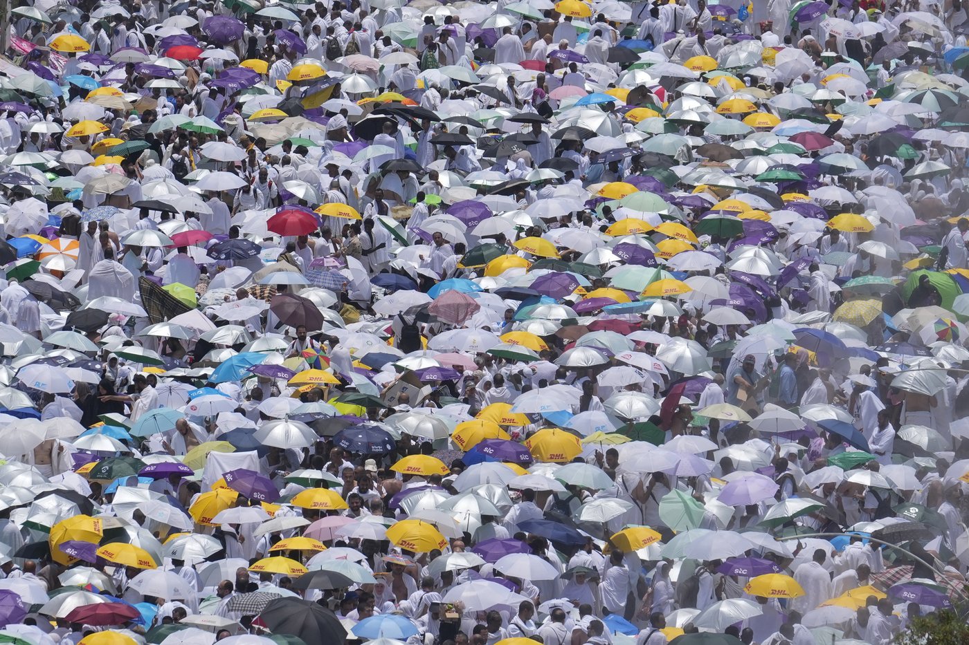 Saudi Arabia stops 269,678 Muslims without Hajj permits from entering Mecca | iNFOnews.ca Saudi Arabia stops 269,678 Muslims without Hajj permits from entering Mecca | iNFOnews.ca