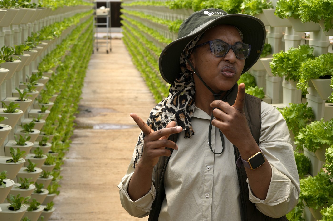 A farming project in South Africa is helping deaf people build skills and find jobs | iNFOnews.ca A farming project in South Africa is helping deaf people build skills and find jobs | iNFOnews.ca