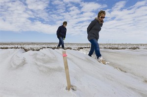 Over to you, Obama: Nebraska court clears path for presidential decision on Keystone | iNFOnews.ca CP31411762