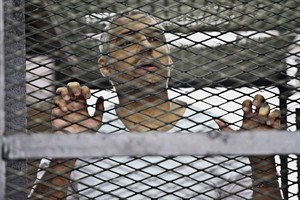 NewsAlert: Egyptian-Canadian journalist Mohamed Fahmy, 2 colleagues get 7 years | iNFOnews.ca CP28867495