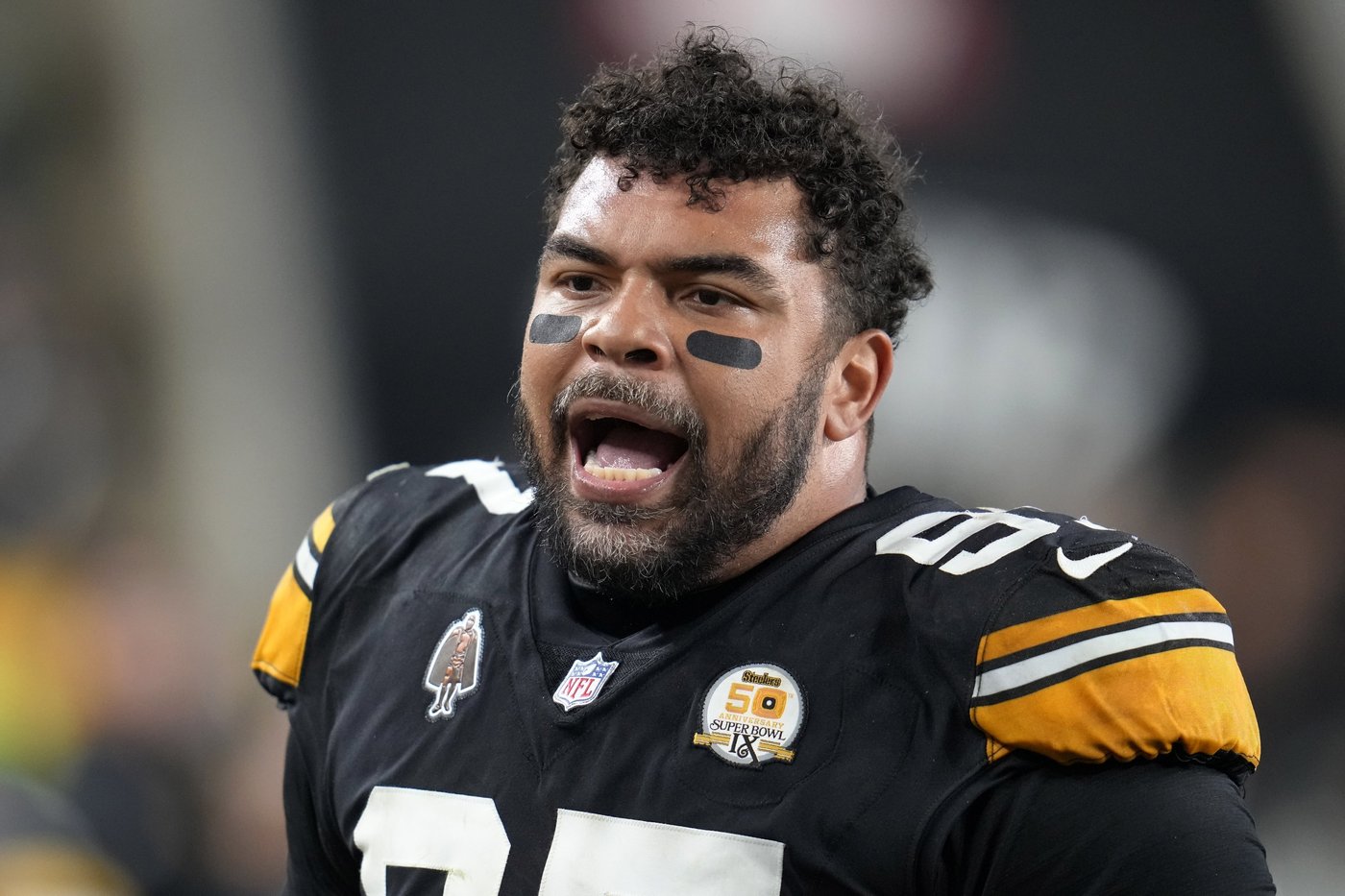 Cam Heyward's road to the Steelers record began with patience and an invaluable education | iNFOnews.ca