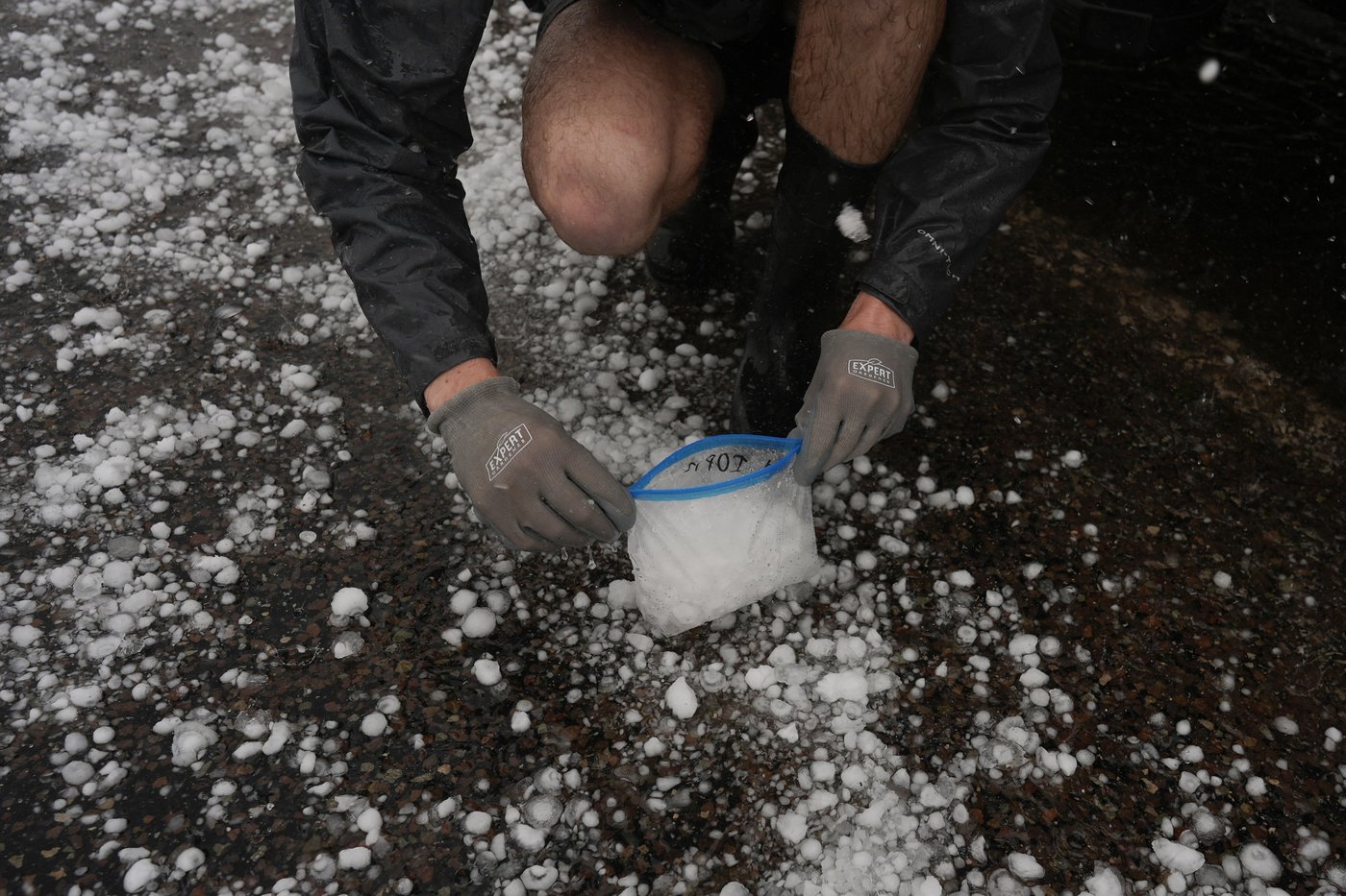 Crushing it. What do you do with 4,000 hailstones that you collect while chasing storms | iNFOnews.ca Crushing it. What do you do with 4,000 hailstones that you collect while chasing storms | iNFOnews.ca