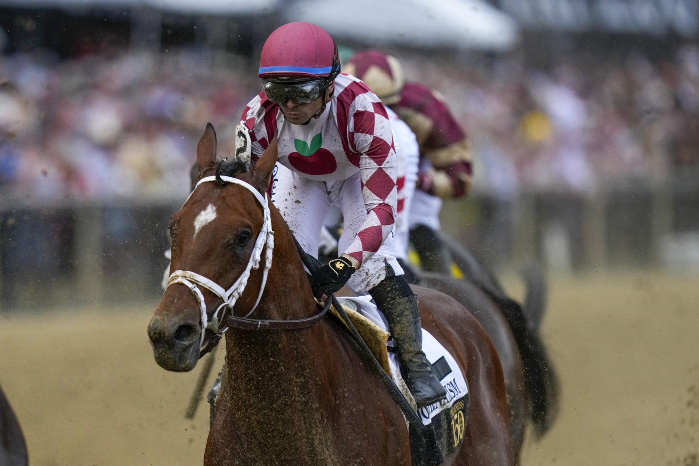 Journalism opens as the Belmont favorite. Kentucky Derby winner Sovereignty is the 2nd choice | iNFOnews.ca Journalism opens as the Belmont favorite. Kentucky Derby winner Sovereignty is the 2nd choice | iNFOnews.ca