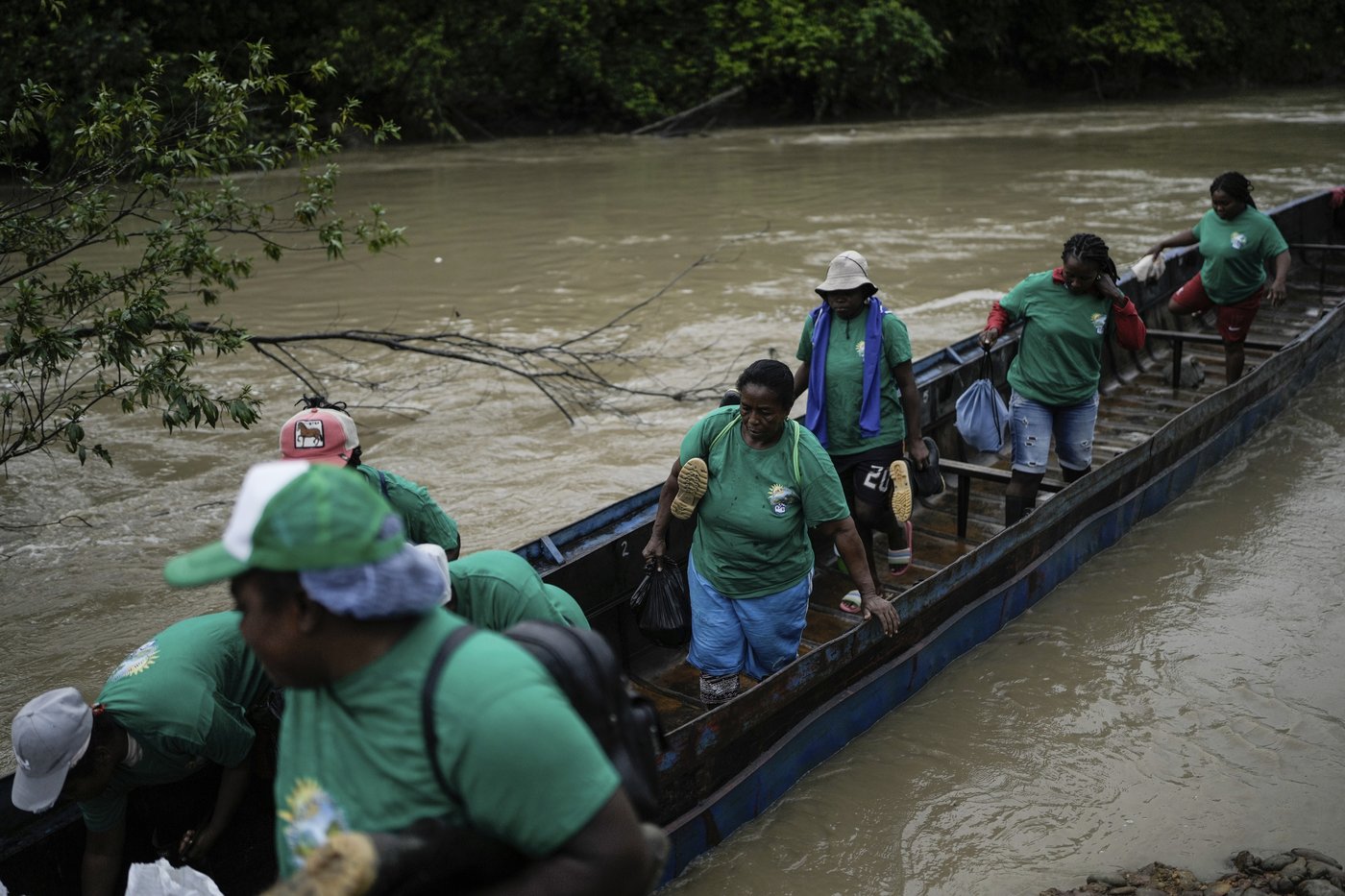 Afro-Colombians fight the effects of gold mining through biodiversity projects in a violent region | iNFOnews.ca Afro-Colombians fight the effects of gold mining through biodiversity projects in a violent region | iNFOnews.ca