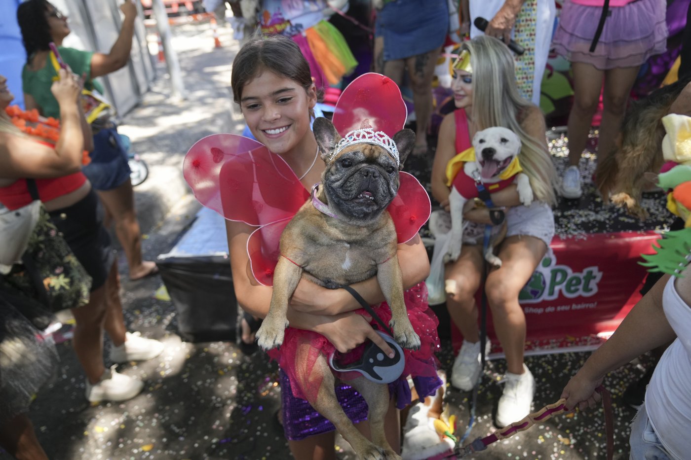 The Rio Carnival street party where dogs parade as superheroes and cartoon characters | iNFOnews.ca The Rio Carnival street party where dogs parade as superheroes and cartoon characters | iNFOnews.ca