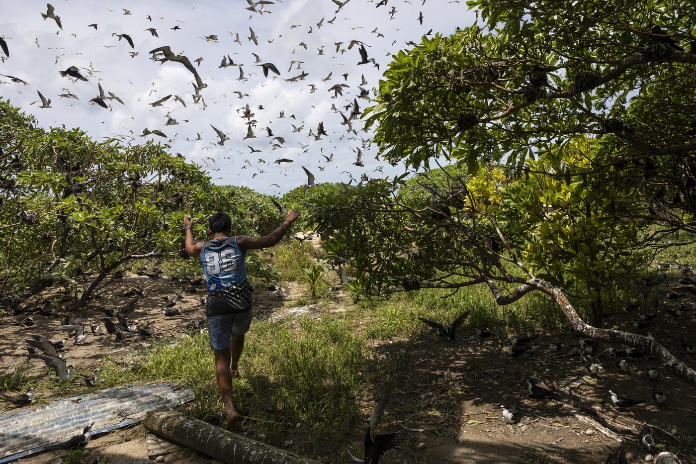 Palau’s vibrant Helen Reef is a magnet for poachers. These rangers keep it safe | iNFOnews.ca