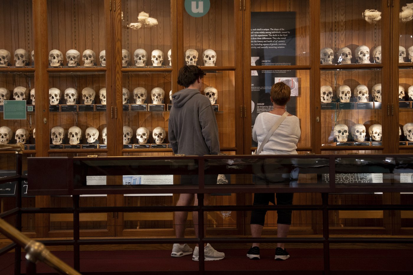 Medical museum in Philadelphia overhauls policies on human remains to meet modern ethical standards | iNFOnews.ca
