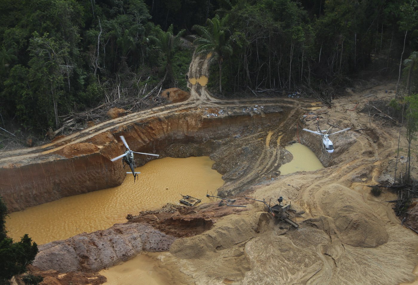 'Leo will follow Francis.' Amazon Catholics hope the new pope will protect the rain forest | iNFOnews.ca 'Leo will follow Francis.' Amazon Catholics hope the new pope will protect the rain forest | iNFOnews.ca