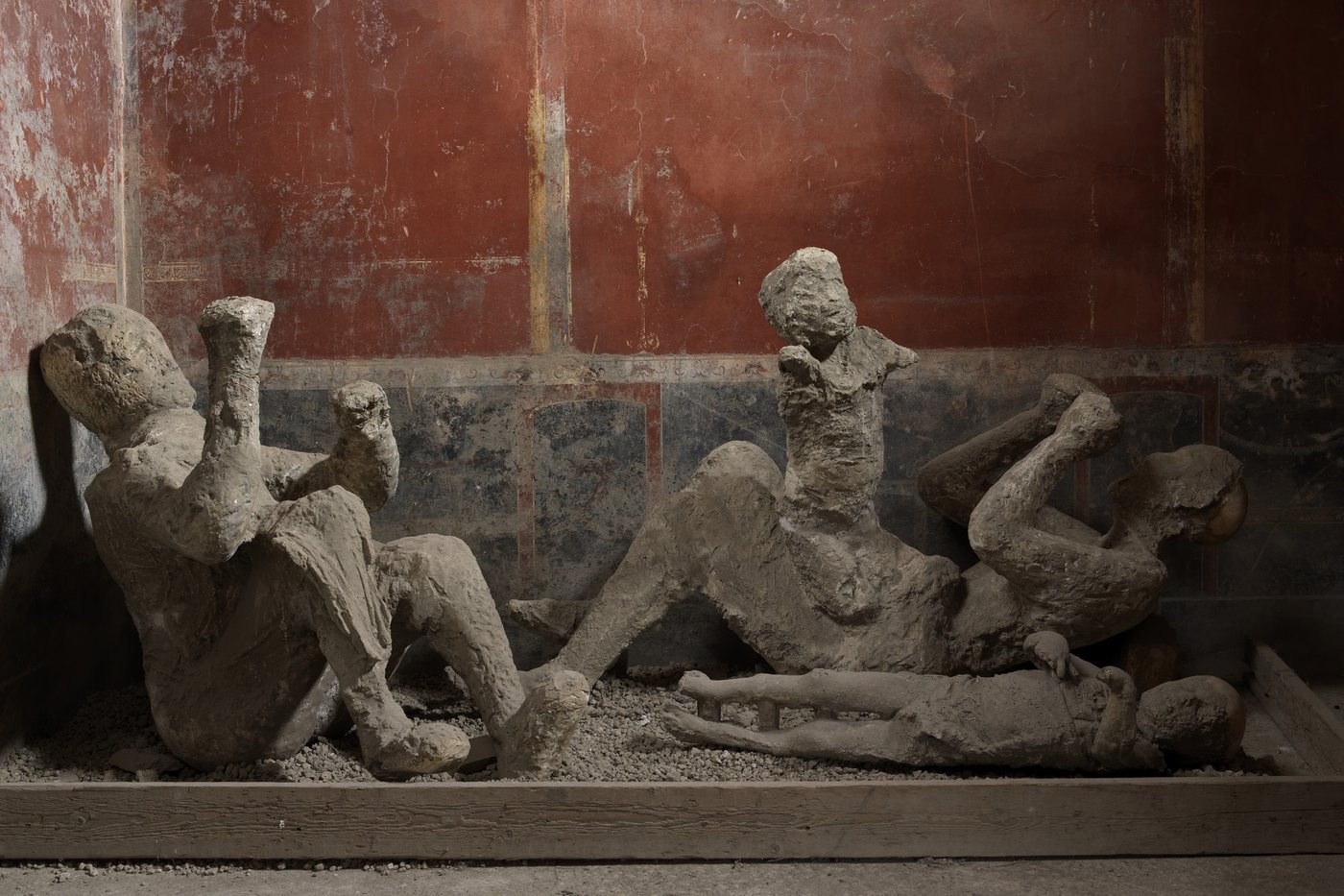 New DNA evidence rewrites long-told stories of people in ancient Pompeii | iNFOnews.ca