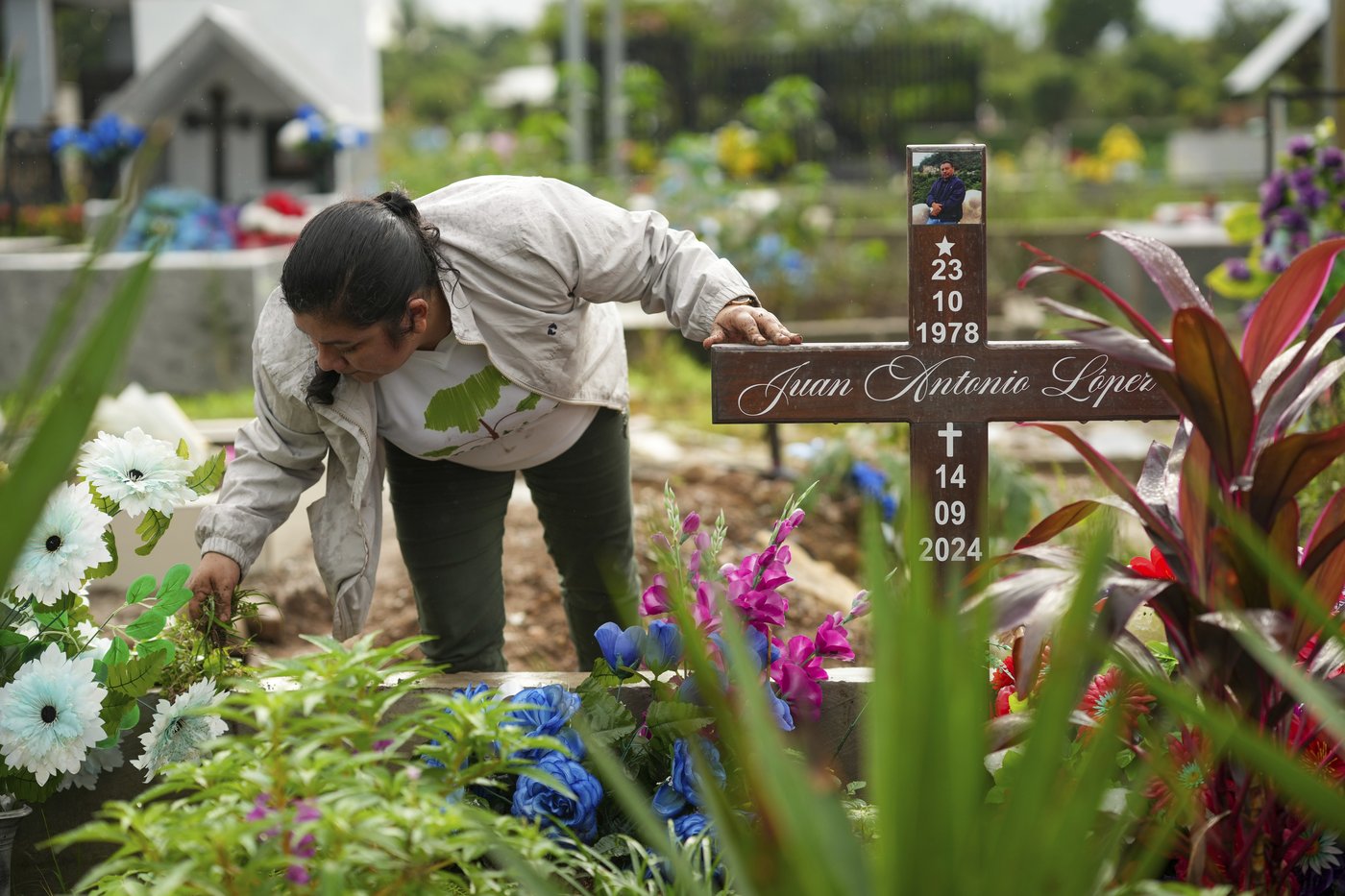 He fought to save jungles in Honduras. Now his killing haunts environmental defenders | iNFOnews.ca He fought to save jungles in Honduras. Now his killing haunts environmental defenders | iNFOnews.ca