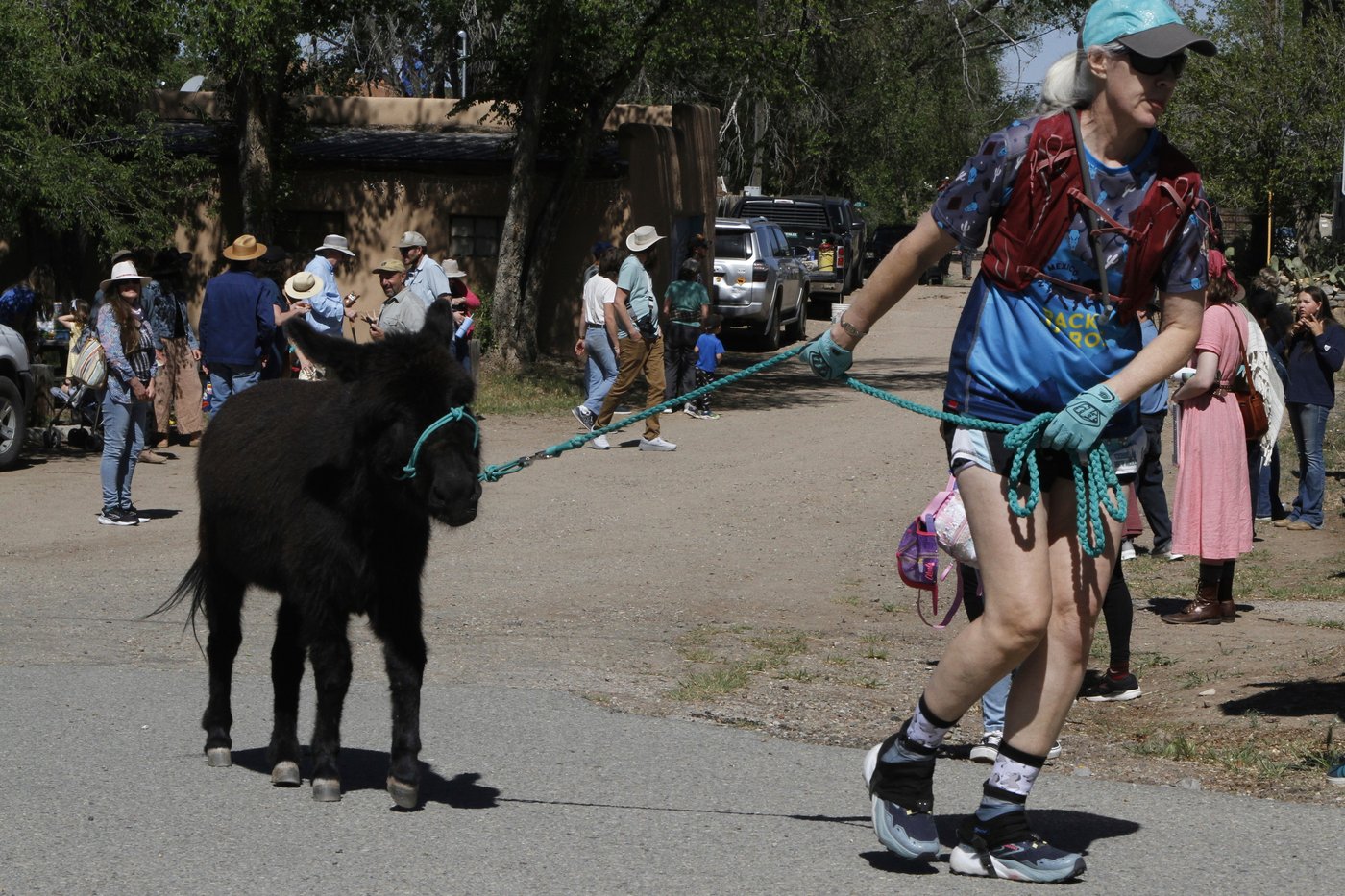 Burro racing wins over runners in backcountry ode to mining history | iNFOnews.ca