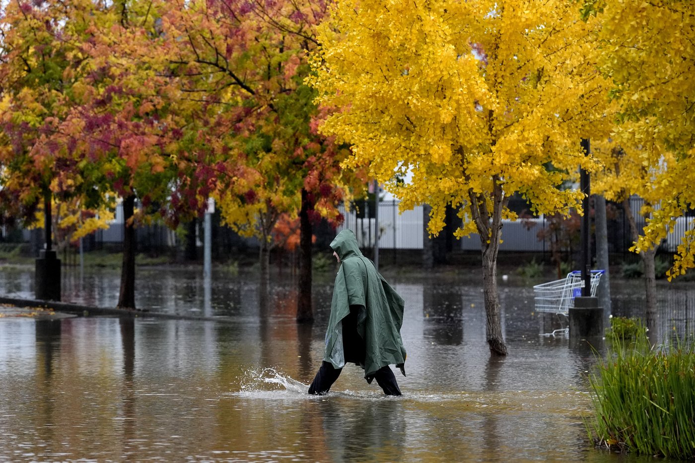 Northern California gets record rain and heavy snow. Many have been in the dark for days in Seattle | iNFOnews.ca Northern California gets record rain and heavy snow. Many have been in the dark for days in Seattle | iNFOnews.ca