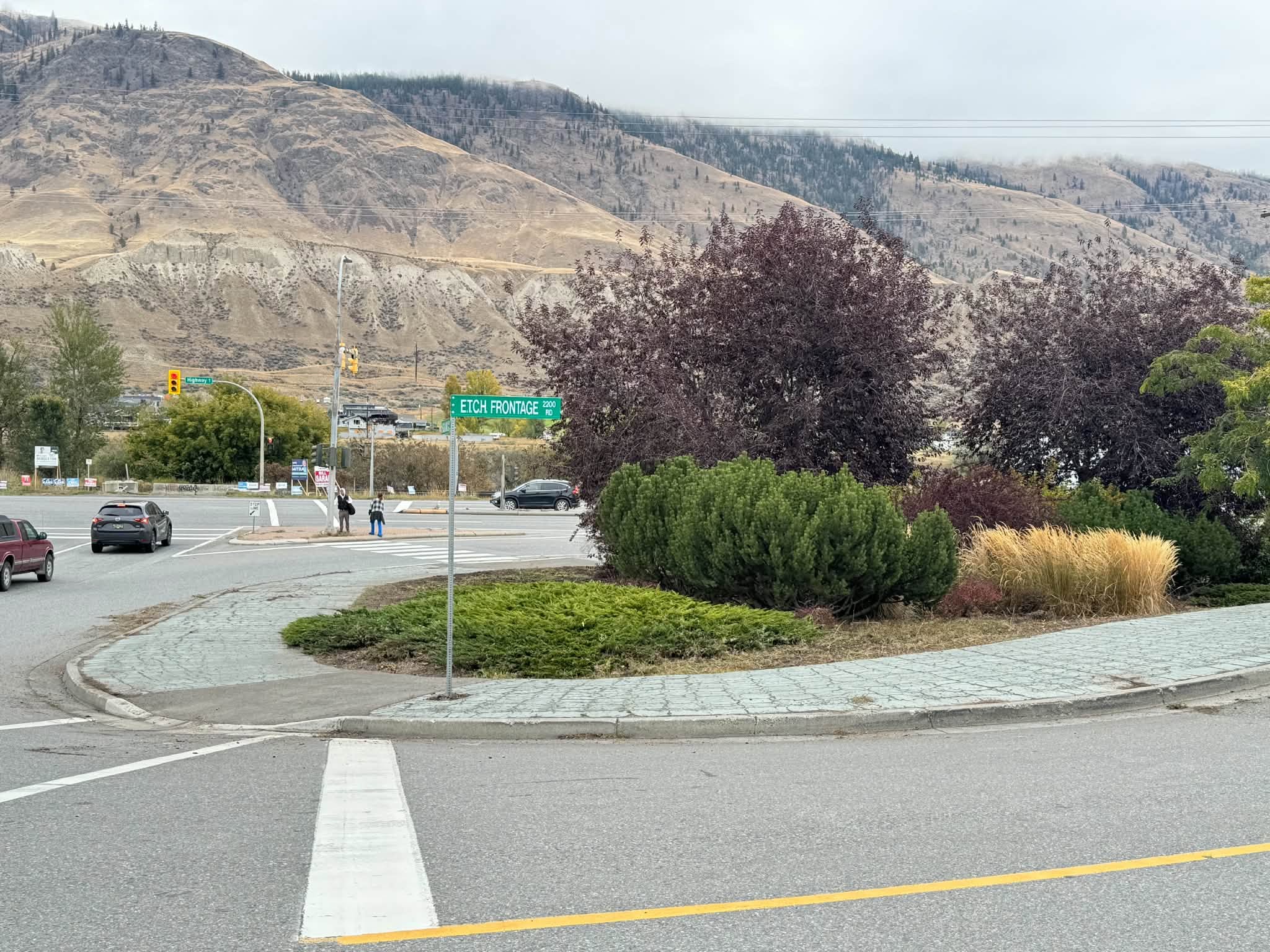 Kamloops neighbourhood takes action on neglected roadside weeds | iNwheels