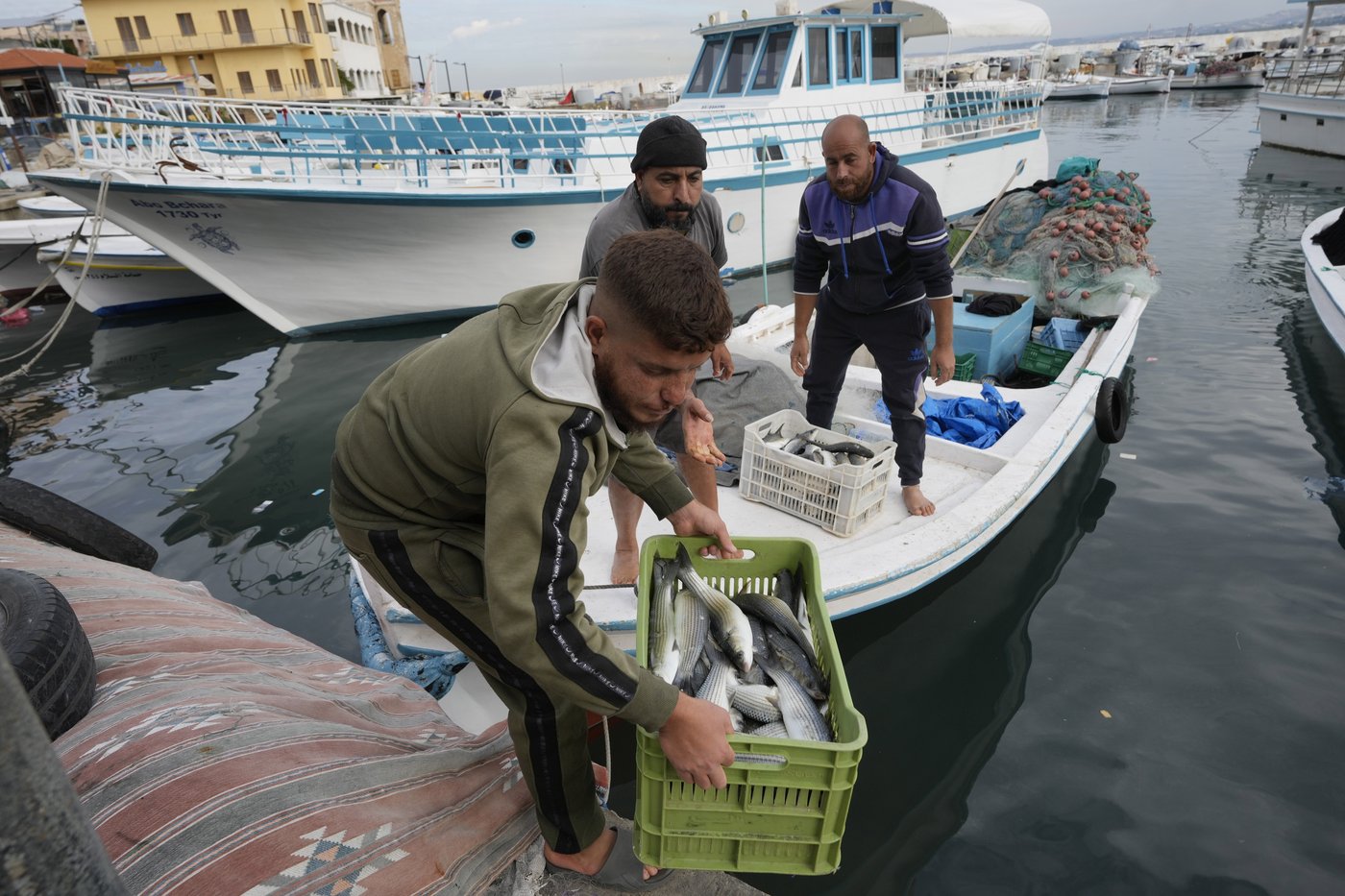 Fishers at a Lebanese port hope ceasefire with Israel means normal life is returning | iNFOnews.ca