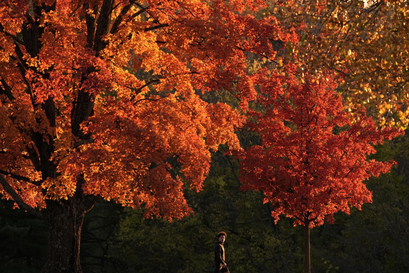 PHOTO COLLECTION: Fall Foliage | iNFOnews.ca PHOTO COLLECTION: Fall Foliage | iNFOnews.ca