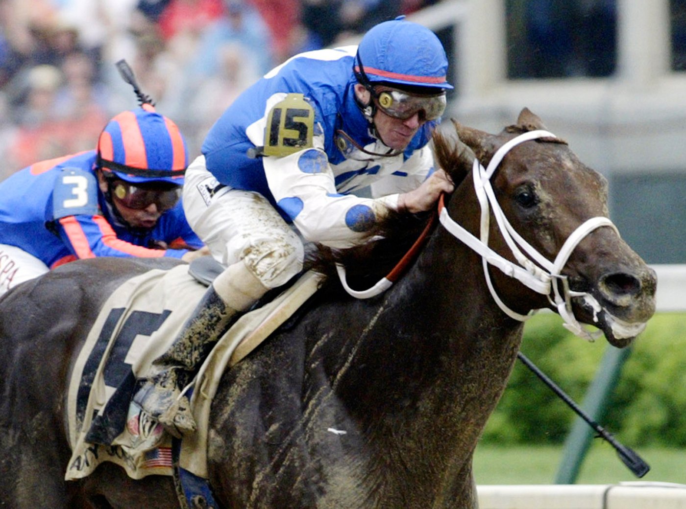 Smarty Jones captured hearts on the 2004 Triple Crown trail. He's been elected to the Hall of Fame | iNFOnews.ca Smarty Jones captured hearts on the 2004 Triple Crown trail. He's been elected to the Hall of Fame | iNFOnews.ca