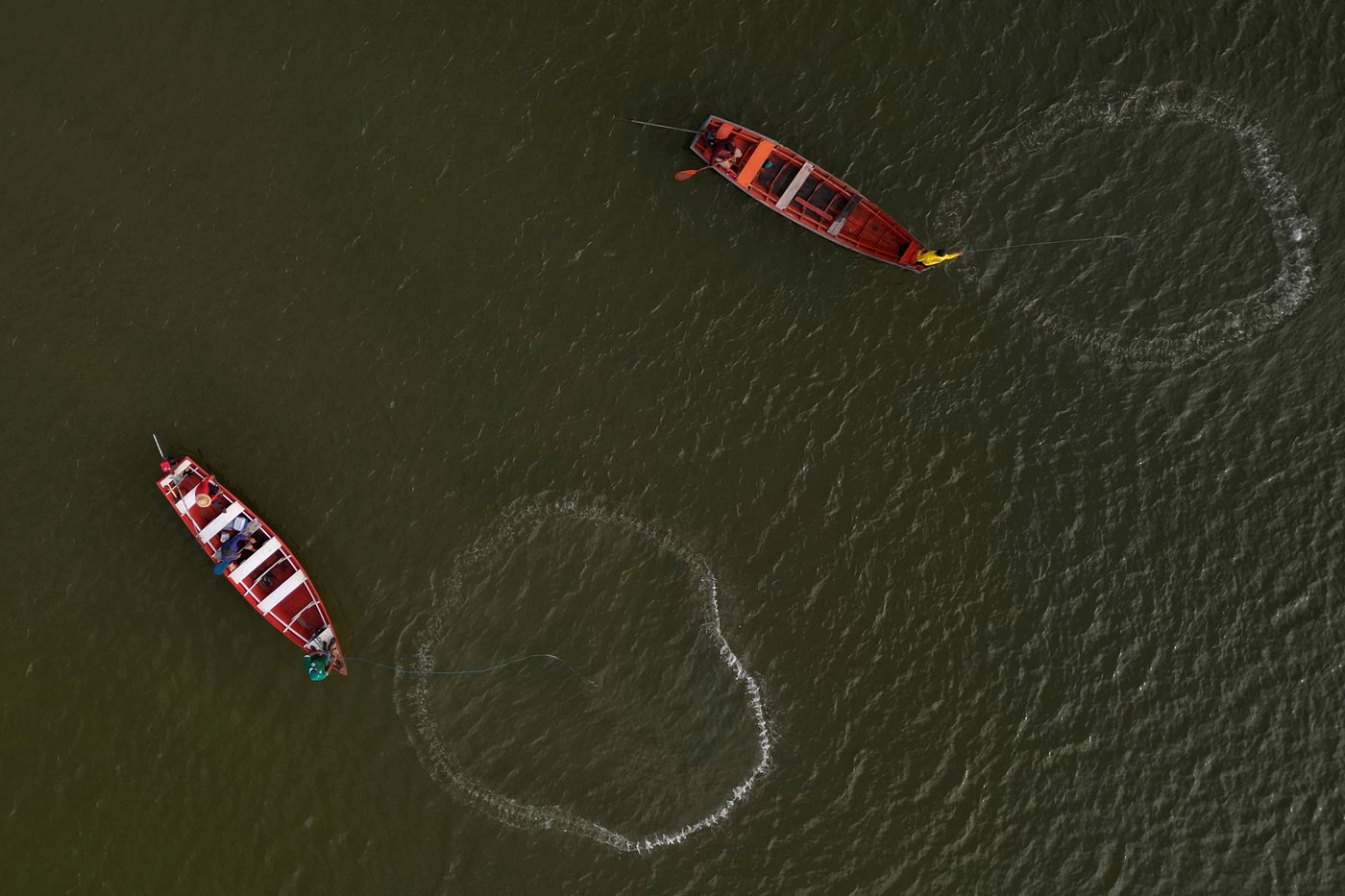 Brazil's Lula puts forward new vision for protecting the Amazon rainforest | iNFOnews.ca Brazil's Lula puts forward new vision for protecting the Amazon rainforest | iNFOnews.ca